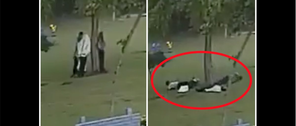 Man Dies After The Tree Hes Standing Under Gets Struck By Lightning In Horrifying Video The 
