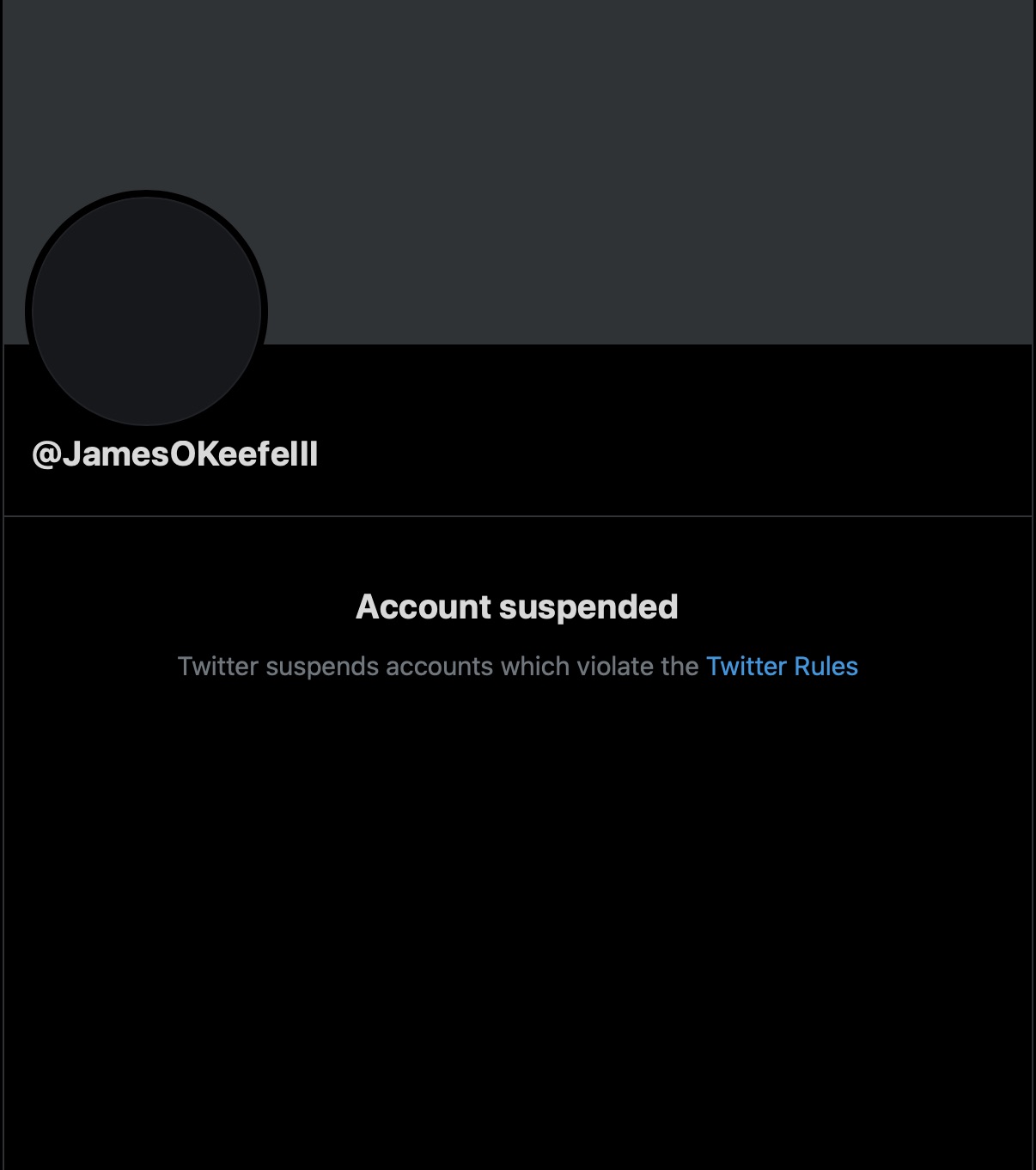 Project Veritas Founder James O'Keefe's Twitter account was suspended Thursday [Twitter:Screenshot:Public User James O'Keefe]