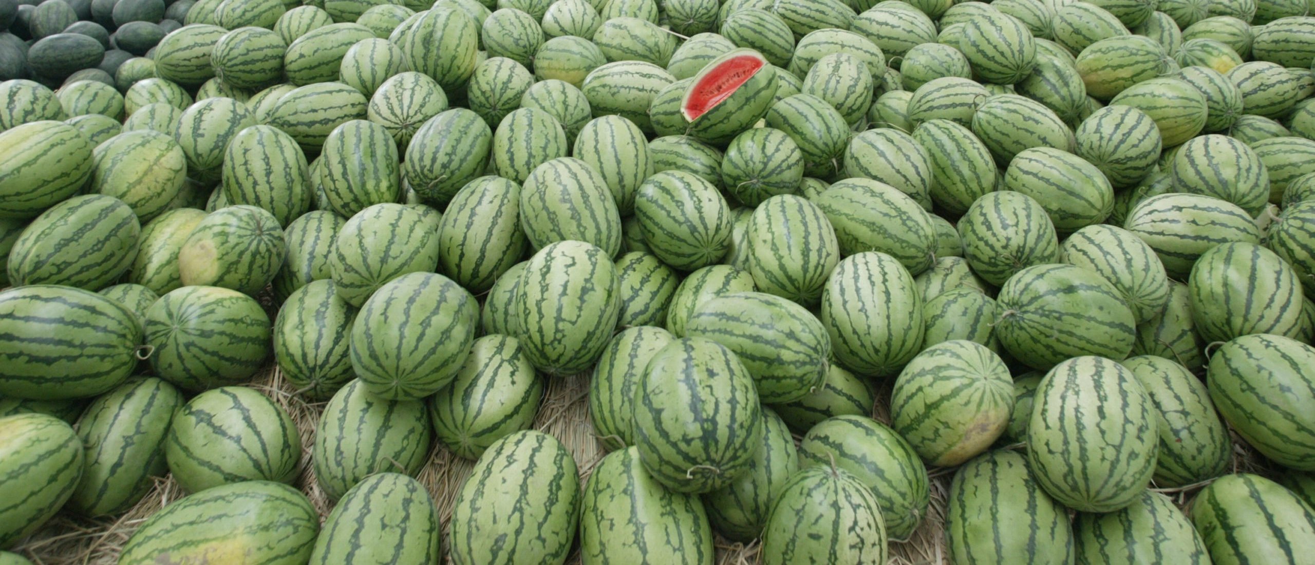 New York Times Says Story About Fruit Aliens Putting Watermelons On Mars Was Published In Error