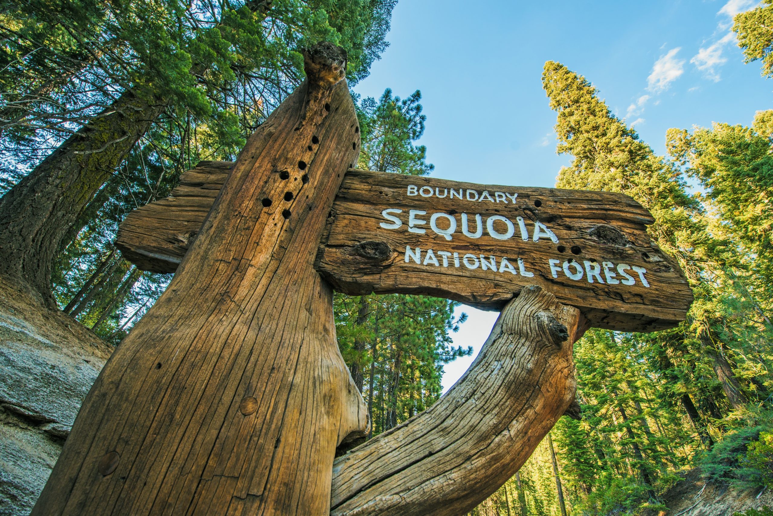 Sequoia National Forest [Shutterstock]