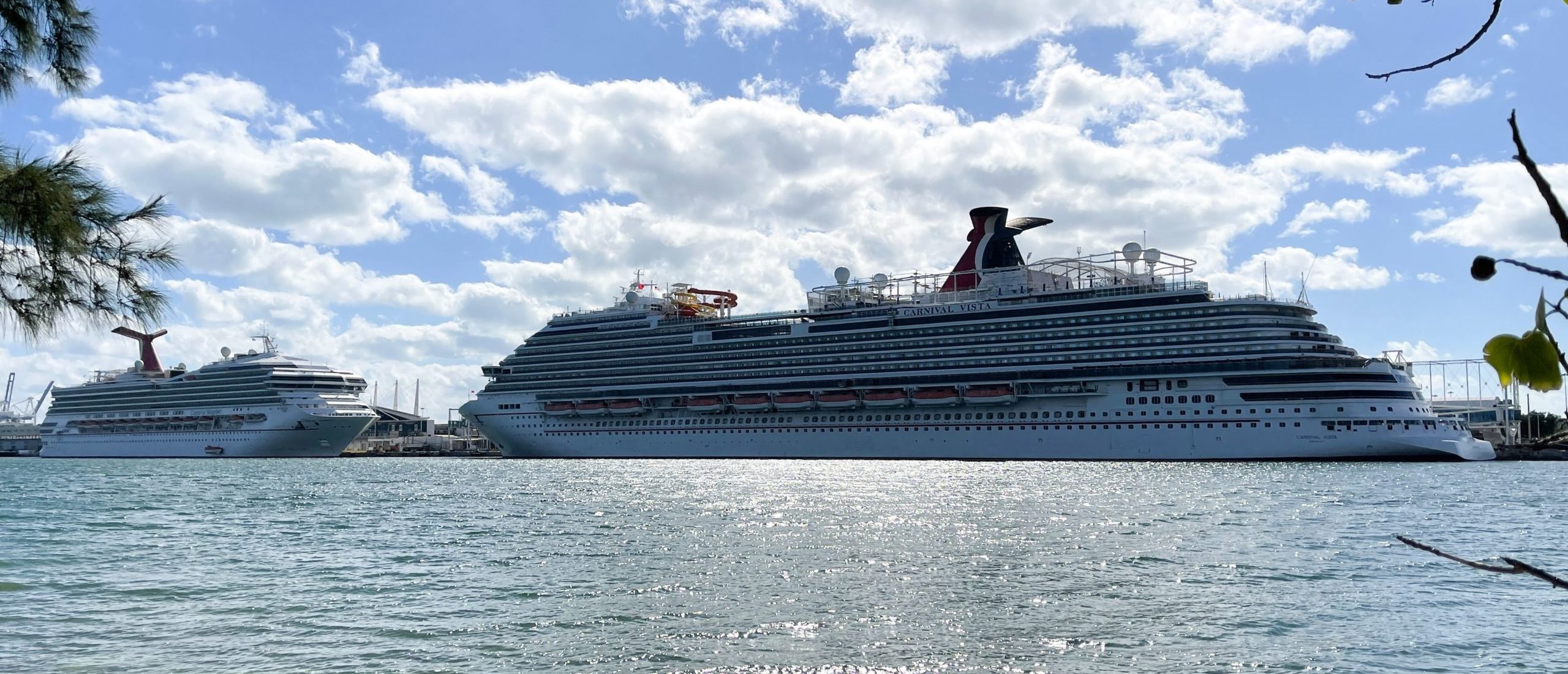 27 People Aboard Almost Fully Vaccinated Cruise Ship Test Positive For