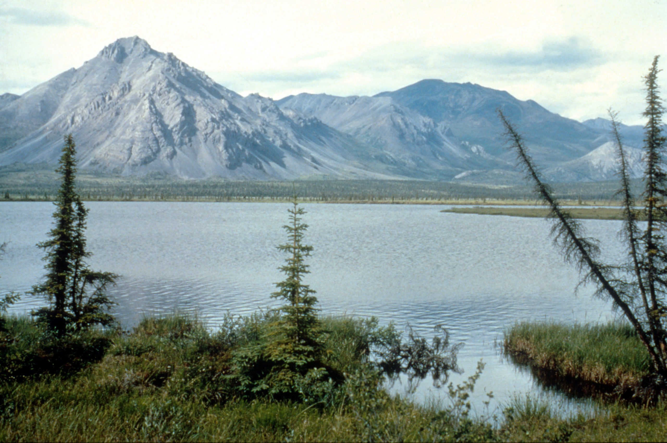 An undated photo of the Arctic National Wildlife Refuge in Alaska. (U.S. Fish and Wildlife Service/Getty Images)