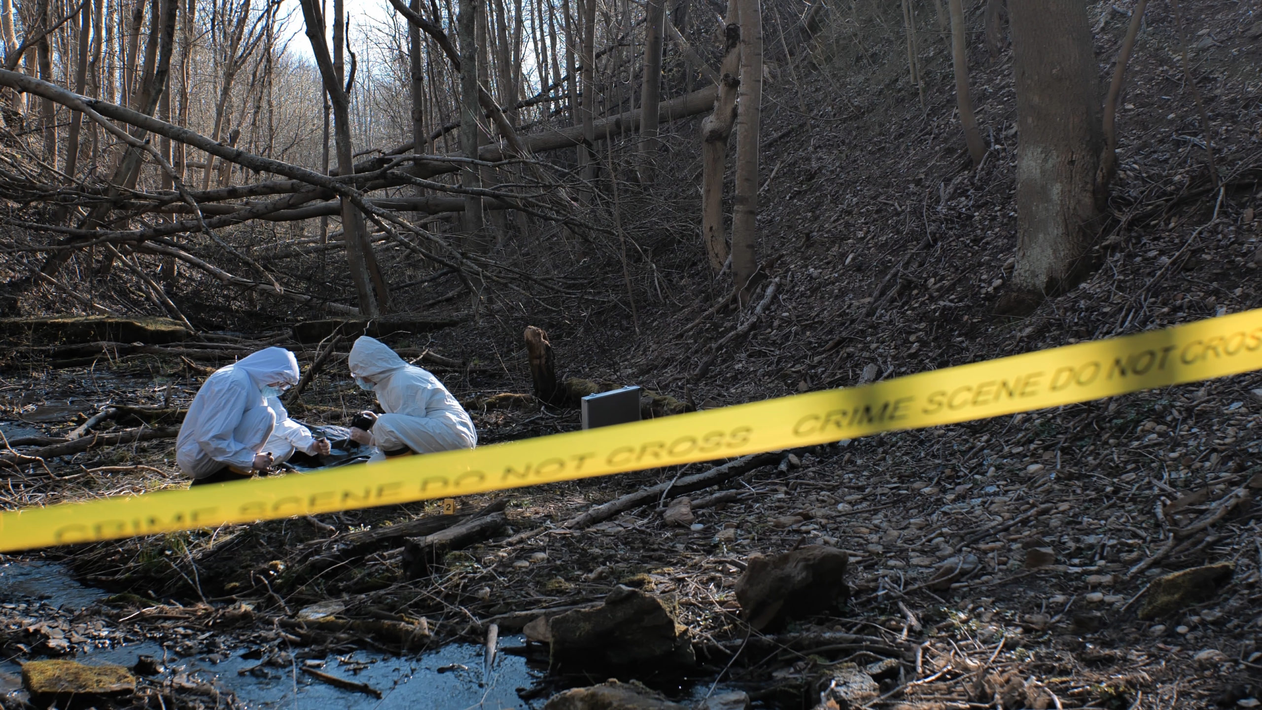 Detectives collecting forensic evidence in woods. This image does not depict the incident mentioned in the story. [Ink Media/Shutterstock]