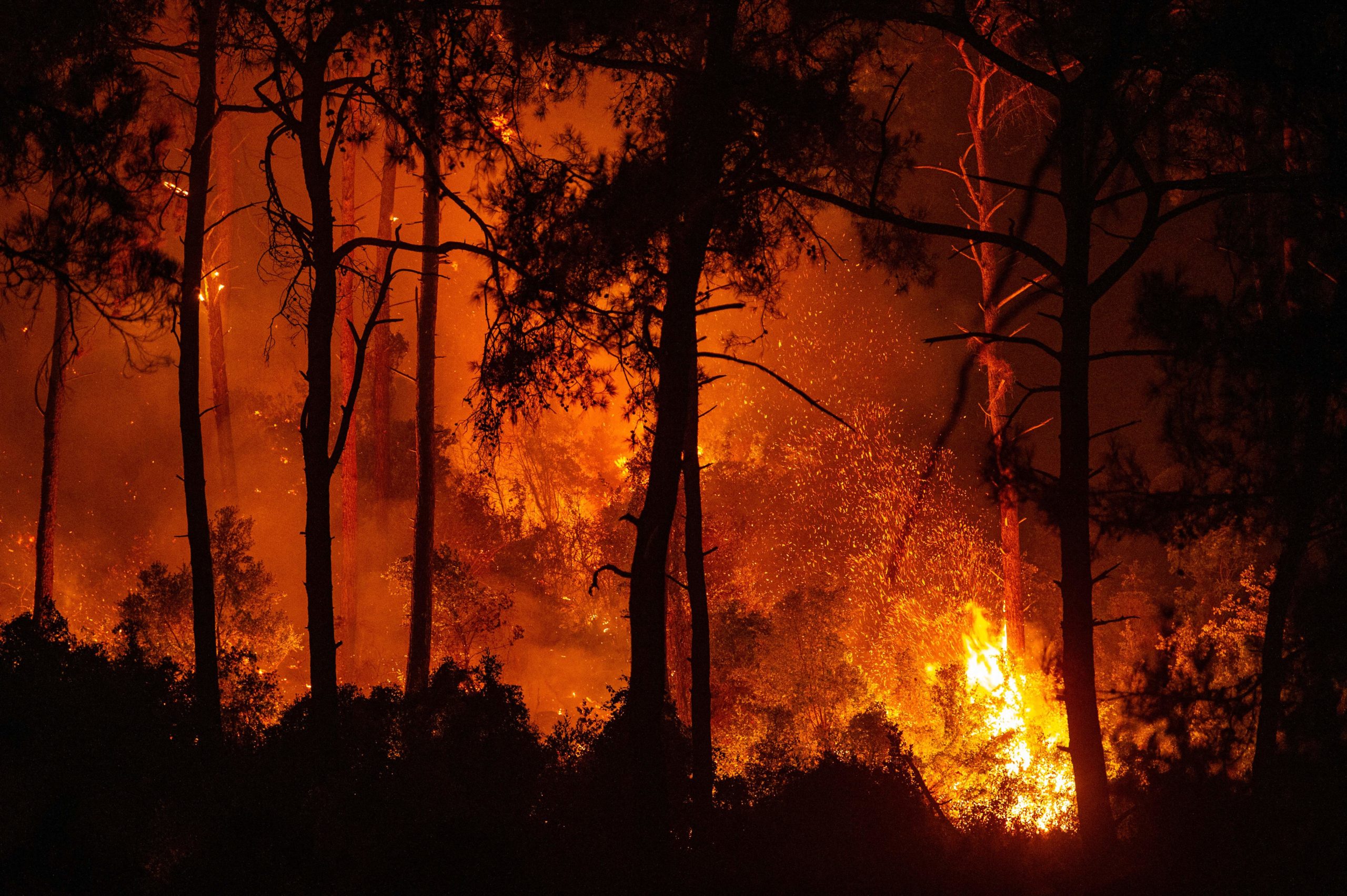 This photograph shows a forest burning as a massive wildfire engulfed a Mediterranean resort at the Marmaris district of Mugla, on August 1 2021. - At least three people were reported dead on July 29, 2021 and more than 100 injured as firefighters battled blazes engulfing a Mediterranean resort region on Turkey's southern coast. (Photo by YASIN AKGUL/AFP via Getty Images)