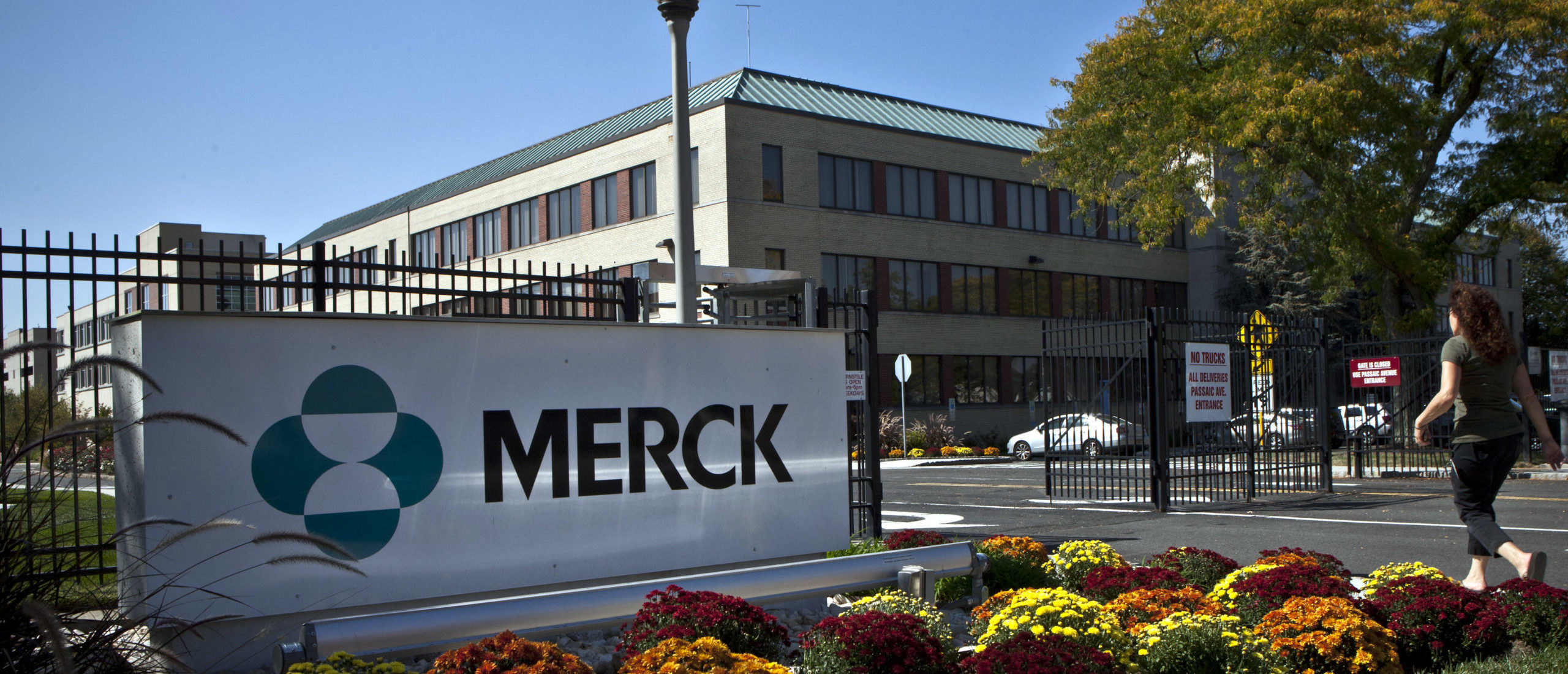: A Merck sign stands in front of the company's building on October 2, 2013 in Summit, New Jersey. (Photo by Kena Betancur/Getty Images)