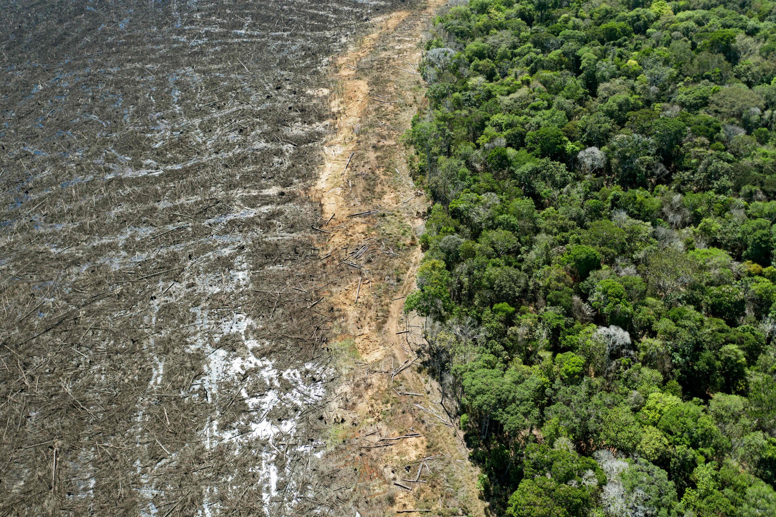 An aerial photo shows a deforested area in Brazil on Aug. 7, 2020. (Florian Plaucheu/AFP via Getty Images)