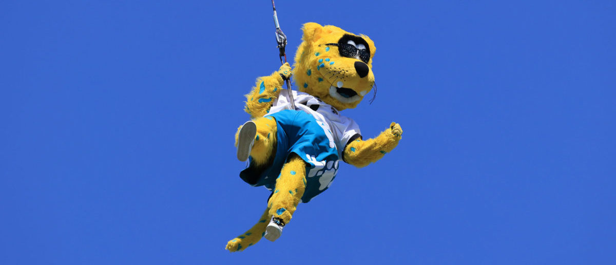 SB Nation] The Jaguars mascot got stuck on his bungie and had to be lowered  into the stands. Nothing good is happening for the Jags right now. : r/nfl