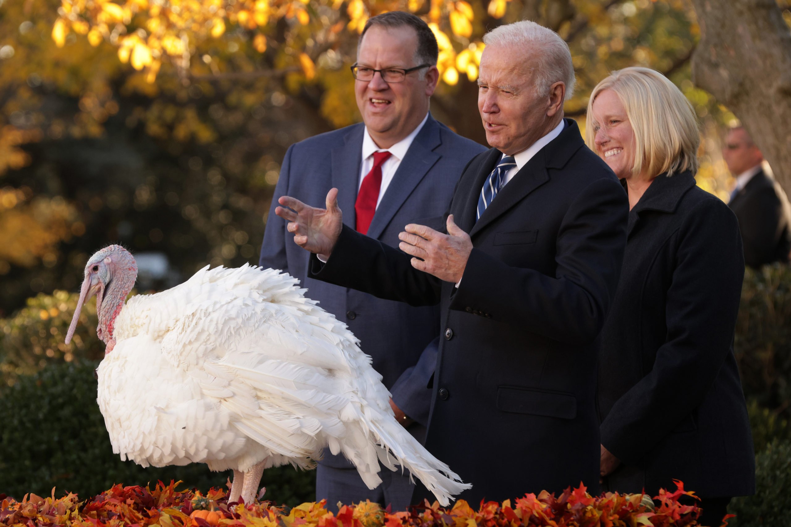 President Joe Biden pardons a turkey alongside National Turkey Federation Chair Phil Seger and turkey grower Andrea Welp on Nov. 19. (Alex Wong/Getty Images)