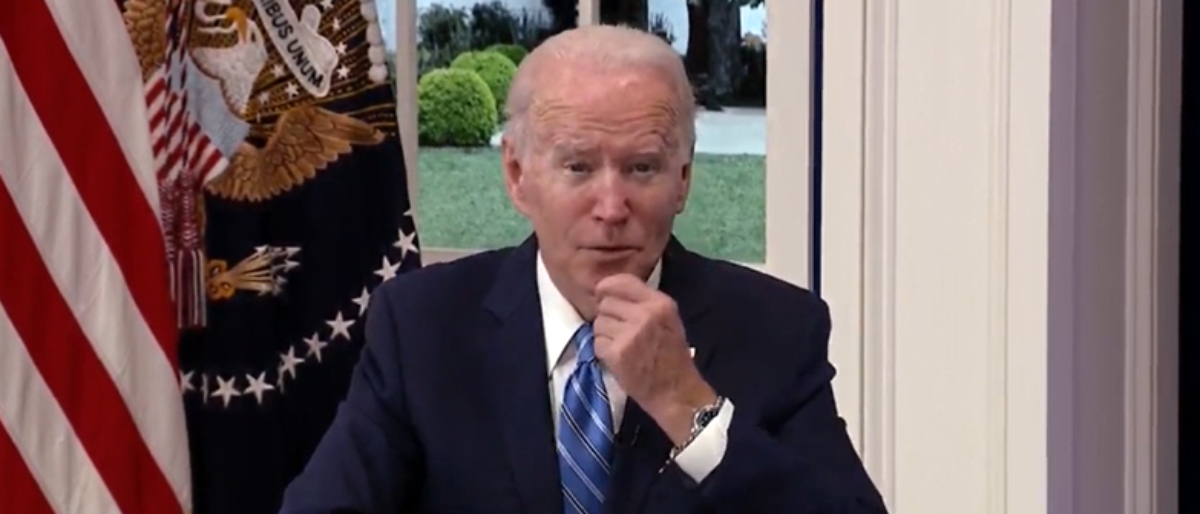 Pres. Joe Biden discussed the lack of testing in the U.S. (Screenshot Biden Call With Governors, YouTube)