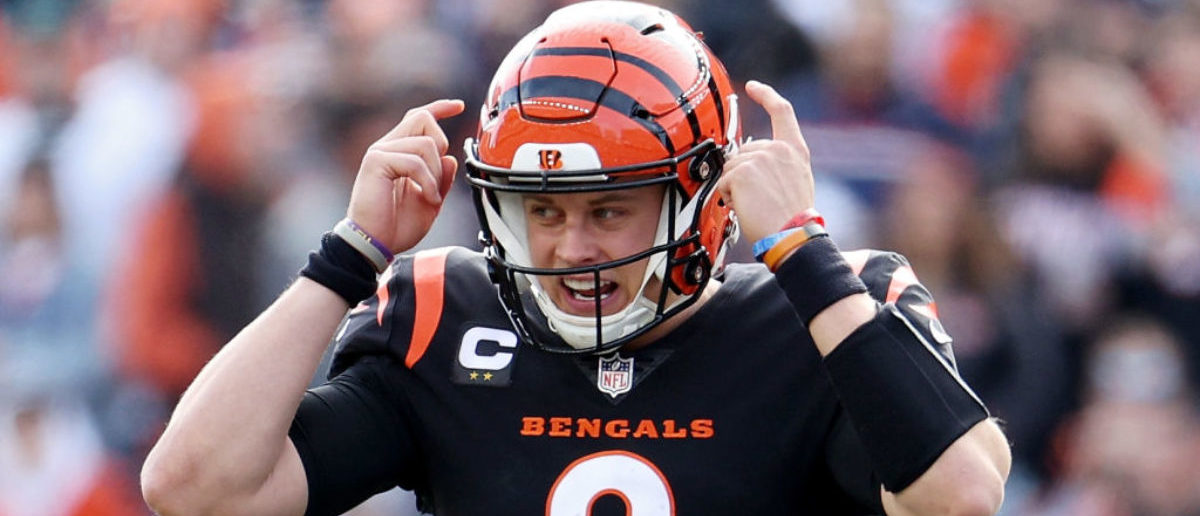 Cincinnati Bengals on X: Kings in The North #RuleTheJungle https