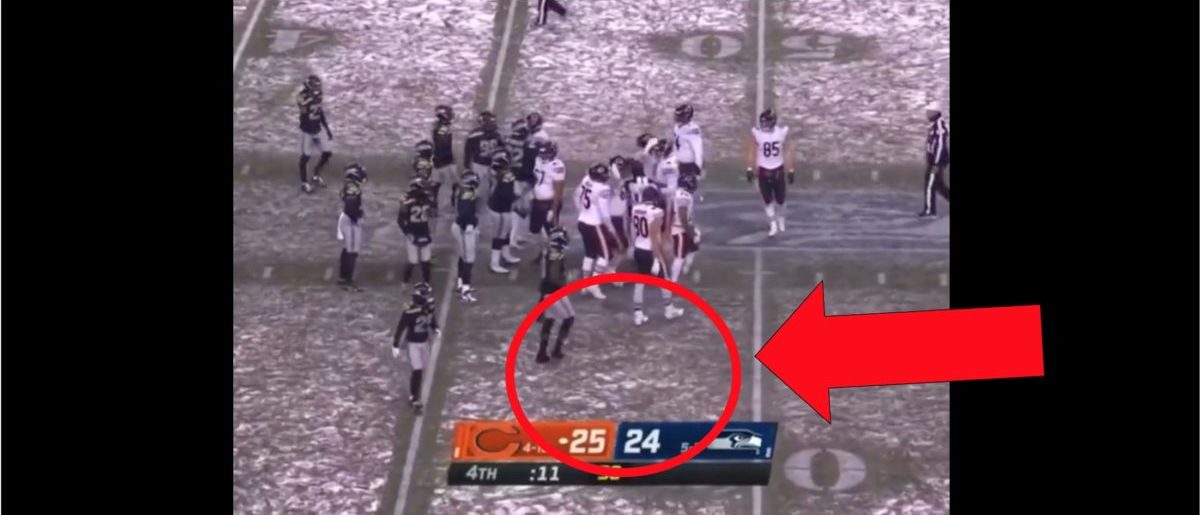 Fan Appears To Throw Snowball On Field During Bears-Seahawks Game - The  Spun: What's Trending In The Sports World Today