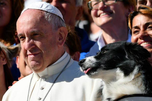 Pope Francis poses for a picture next to a dog after his general audience in St Peter's square at the Vatican on October 5, 2016. (Photo by VINCENZO PINTO/AFP via Getty Images)