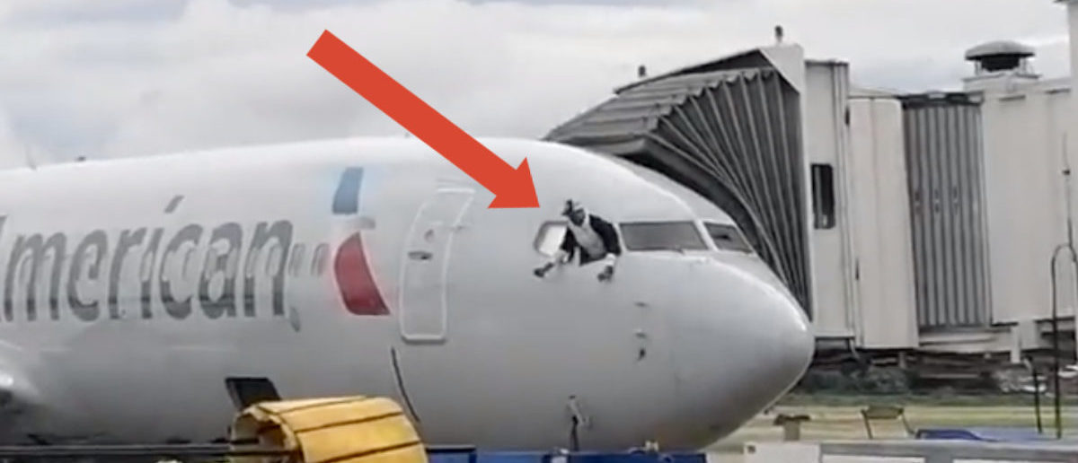 Passenger Reportedly Storms Cockpit, Damages Plane | The Daily Caller