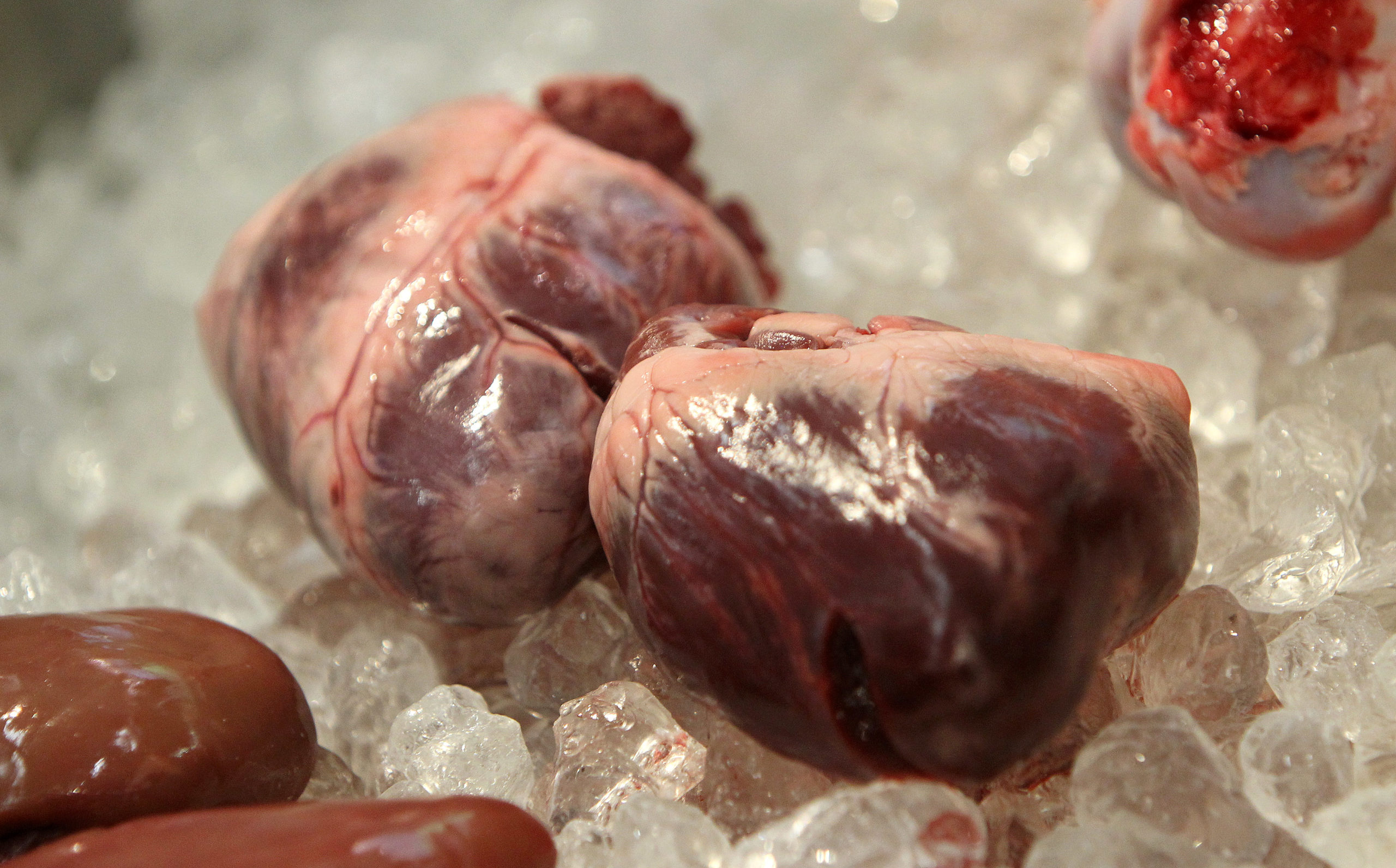 Pig hearts are pictured at the international meat industry fair IFFA in Frankfurt am Main, western Germany, on May 6, 2019. - Young butchers gathered in Frankfurt for an international contest are open to updating their trade, but have yet to be won over by "strange" meat substitutes gaining footholds in the market. (Photo by Daniel ROLAND / AFP) (Photo credit should read DANIEL ROLAND/AFP via Getty Images)