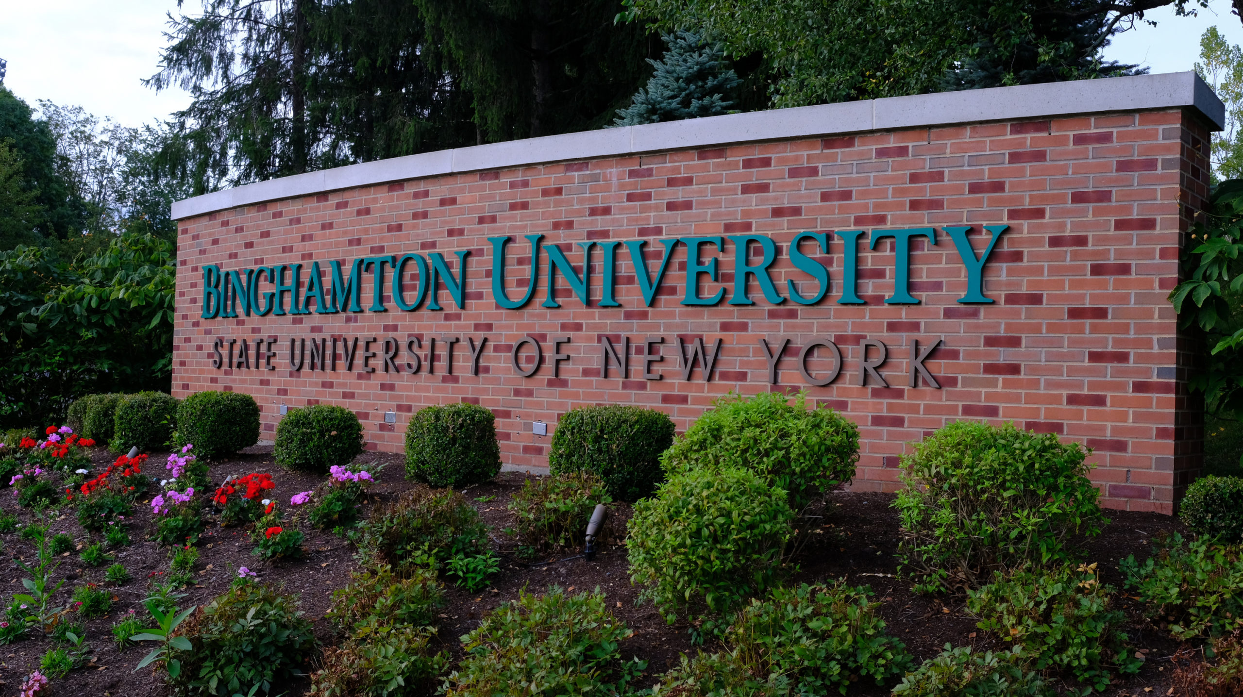 Binghamton University Stops Prof From Prioritizing ‘NonWhite Folks