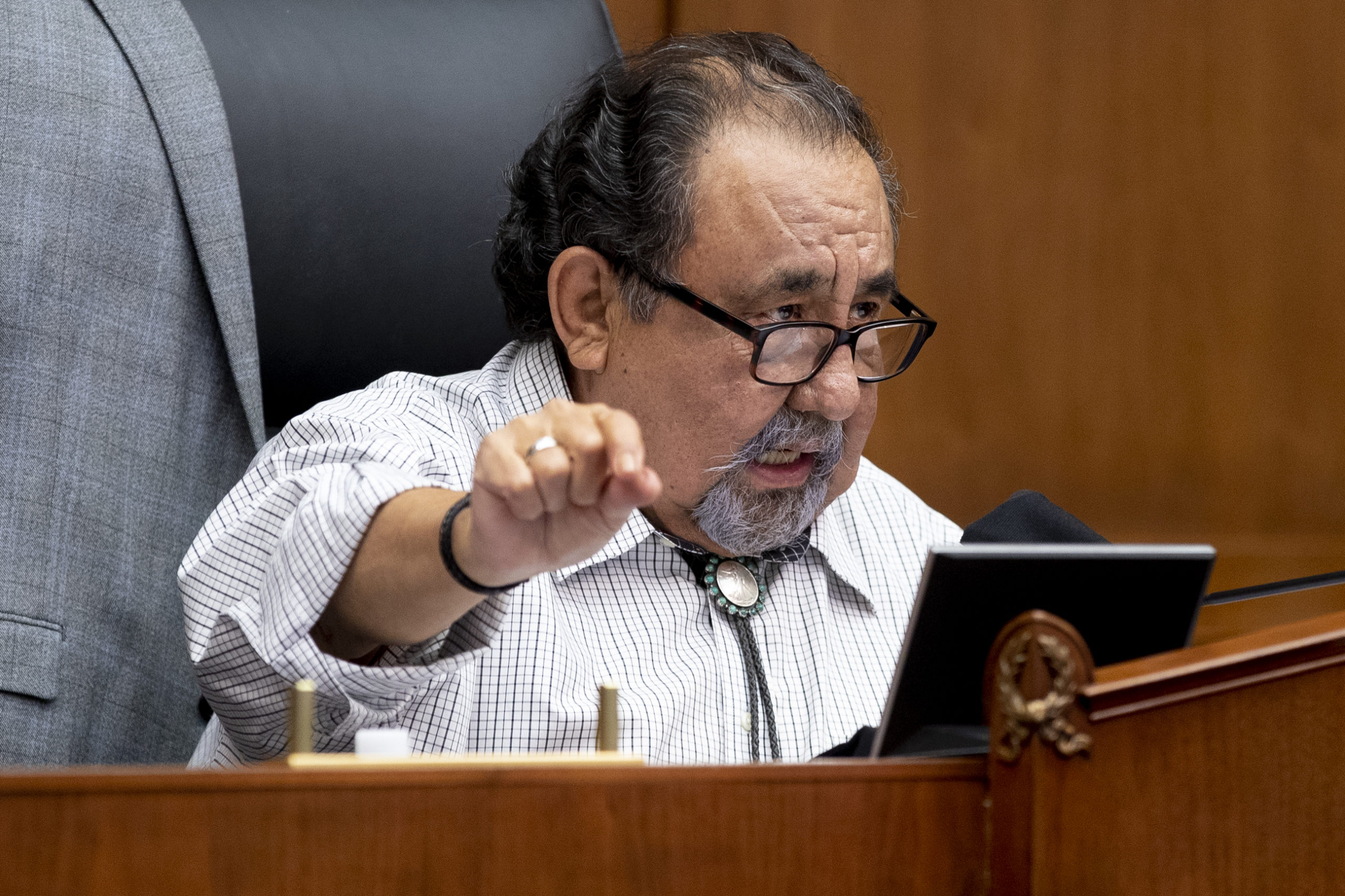 House Natural Resources Committee Chair Raul Grijalva speaks during a hearing on June 29, 2020. (Michael Reynolds/Pool/AFP via Getty Images)