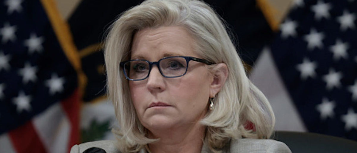 EXCLUSIVE: McCarthy Says Over 100 Republicans From Congress Will Support Liz Cheney Challenger At Upcoming Event thumbnail