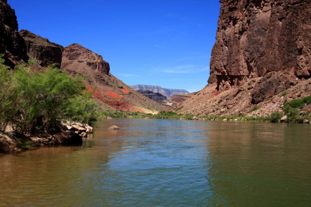 Placid stretch of the Colorado River just above Hance Rapids [Shutterstock/Francisco Blanco]