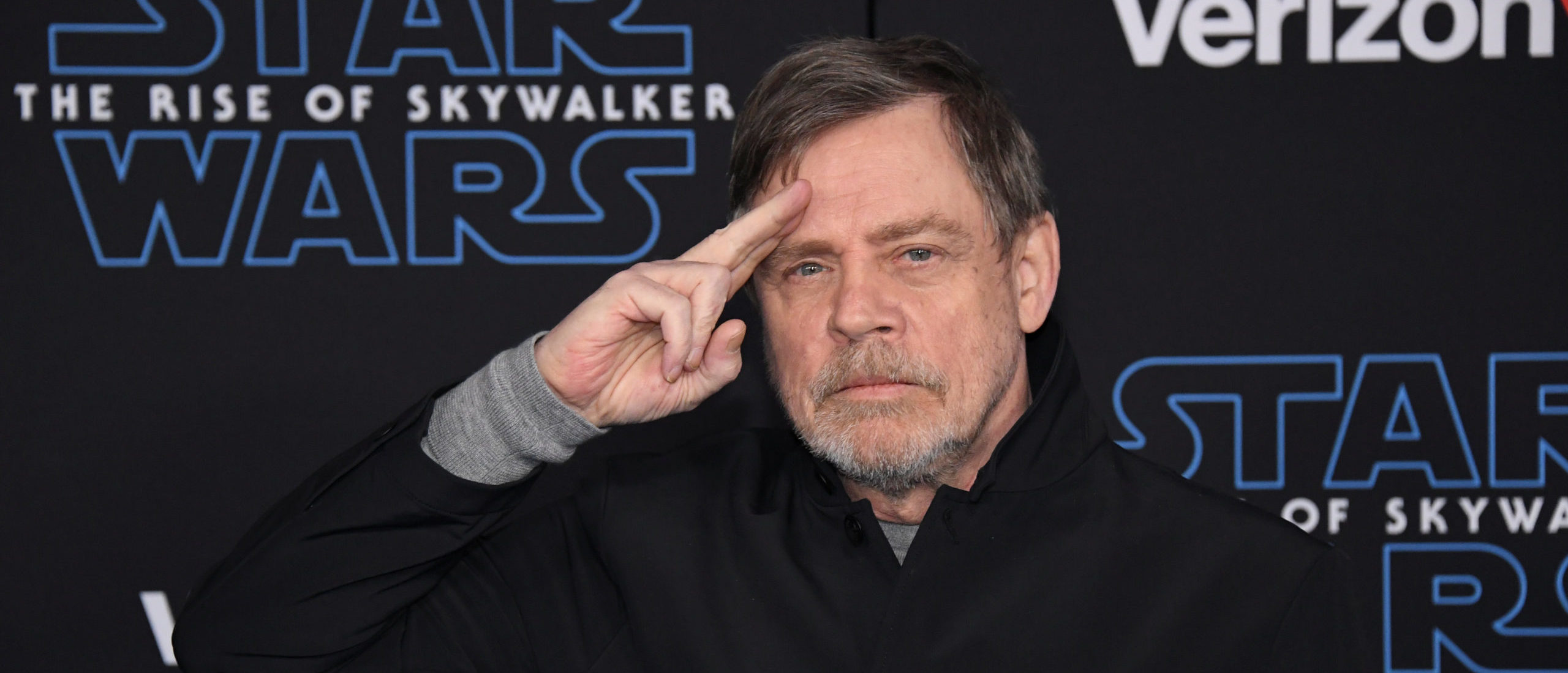 Star Wars Community Wiki Page Insists Luke Skywalker Is LGBT