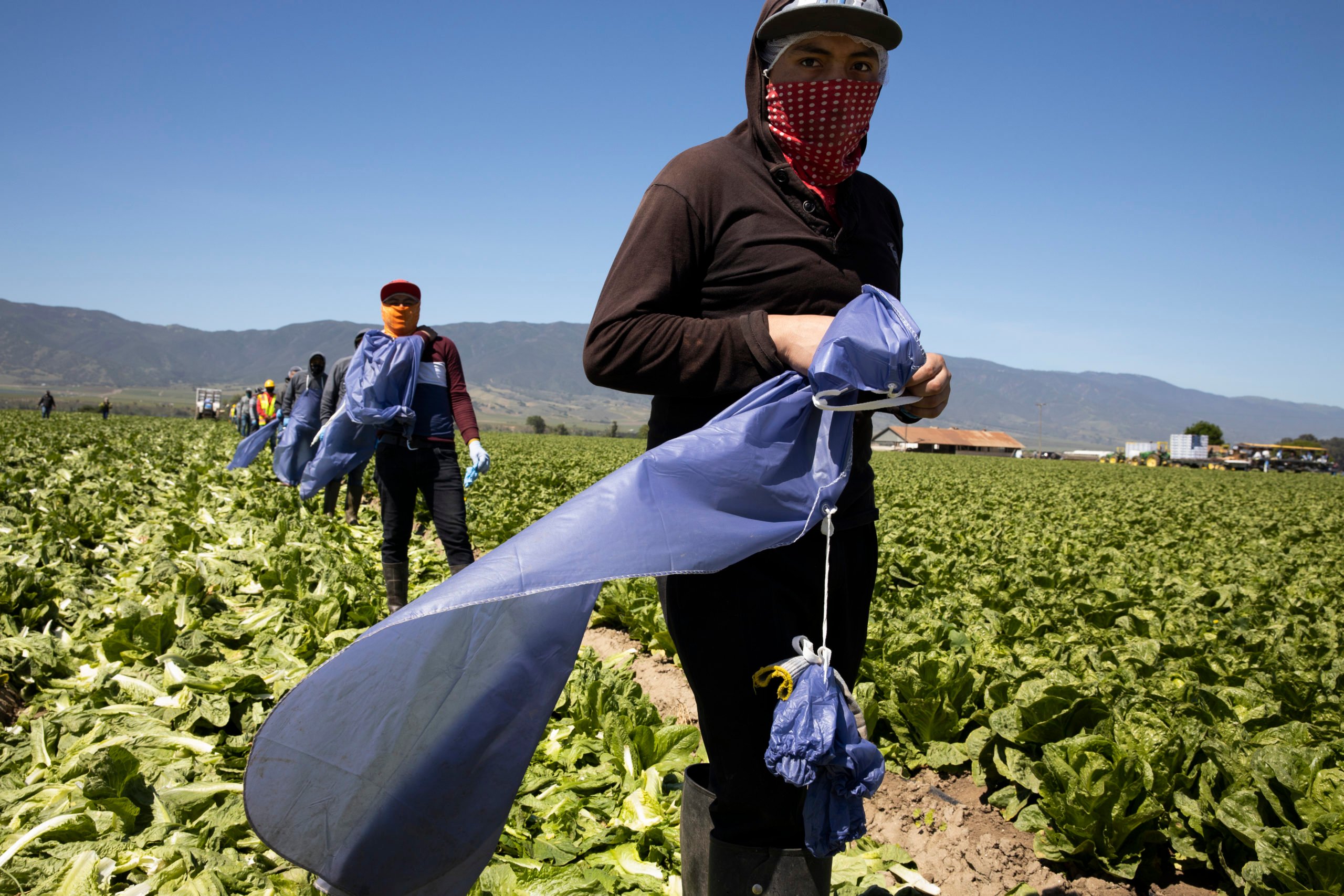 Farm laborers line up to get lunch in April 2020 in Greenfield, California. (Brent Stirton/Getty Images)