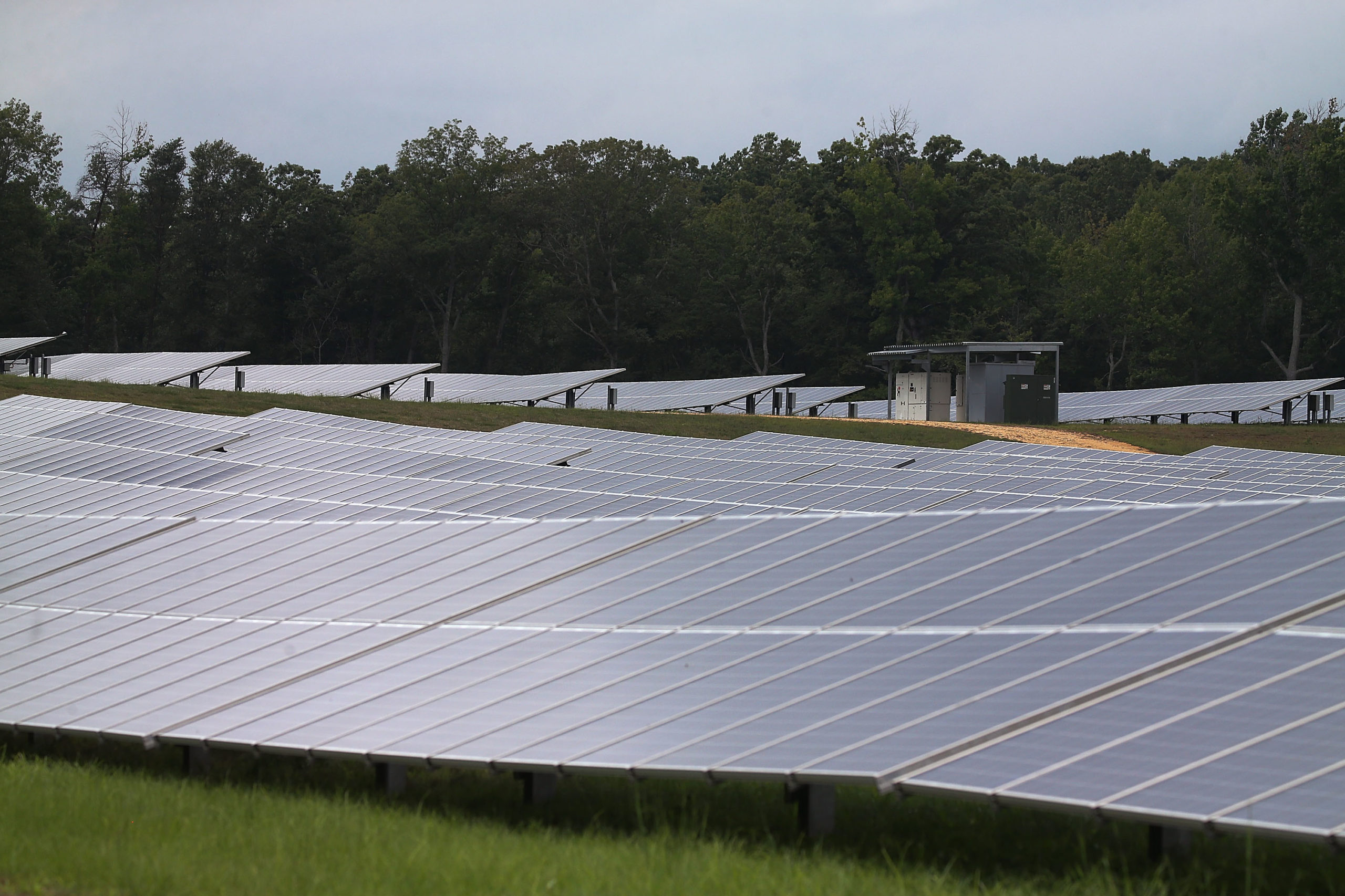 A solar farm is pictured in Hughsville, Maryland. (Mark Wilson/Getty Images)