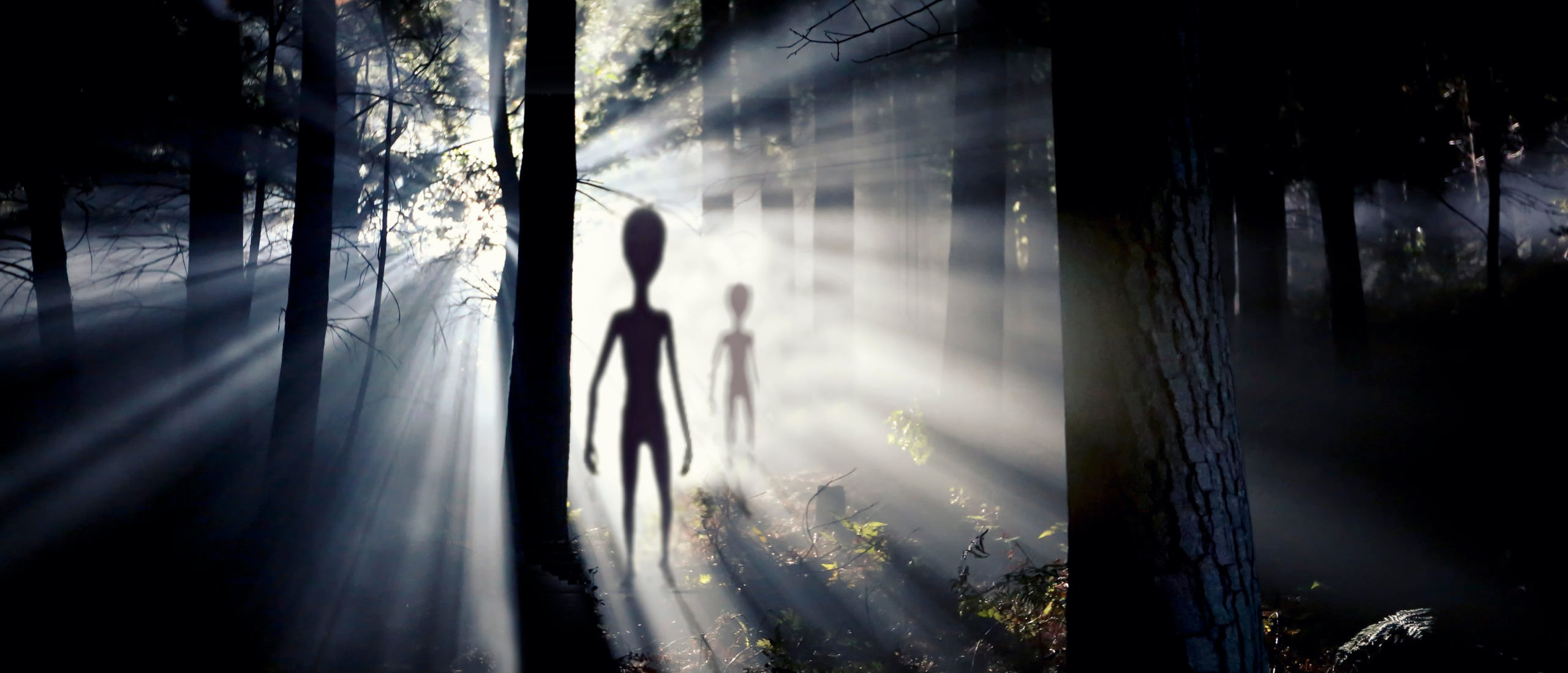 Mysterious Radio Signals From Space Have People Talking Aliens