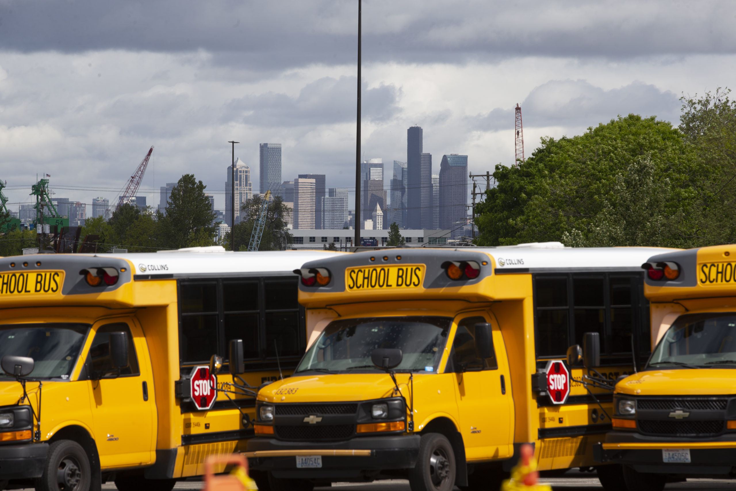 School buses sit idle in a bus yard on May 6, 2020 in Seattle, Washington. Since the outbreak of COVID-19 and the closure of all school buildings, the Seattle Public Schools Nutrition Services Department has been distributing breakfast and lunch to students through a network of 26 school sites and 43 bus routes five days a week. The meal distribution also includes additional food for weekends. Approximately 6,500 people are served per day through the program. (Photo by Karen Ducey/Getty Images)