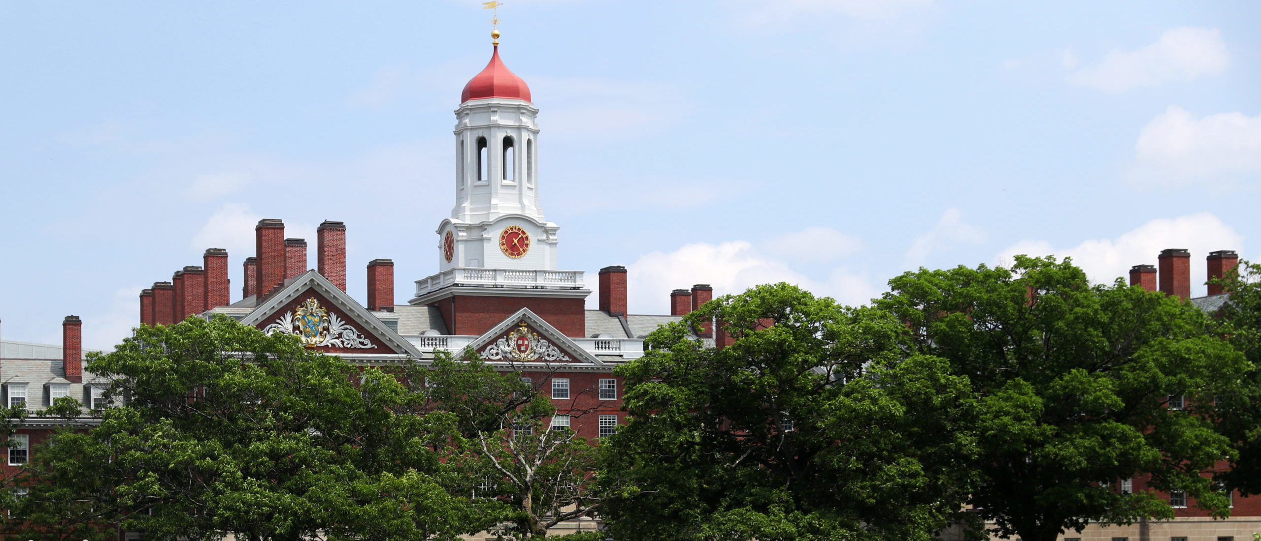 CAMBRIDGE, MASSACHUSETTS - JULY 08: A view of the campus of Harvard University on July 08, 2020 in Cambridge, Massachusetts. (Photo by Maddie Meyer/Getty Images)