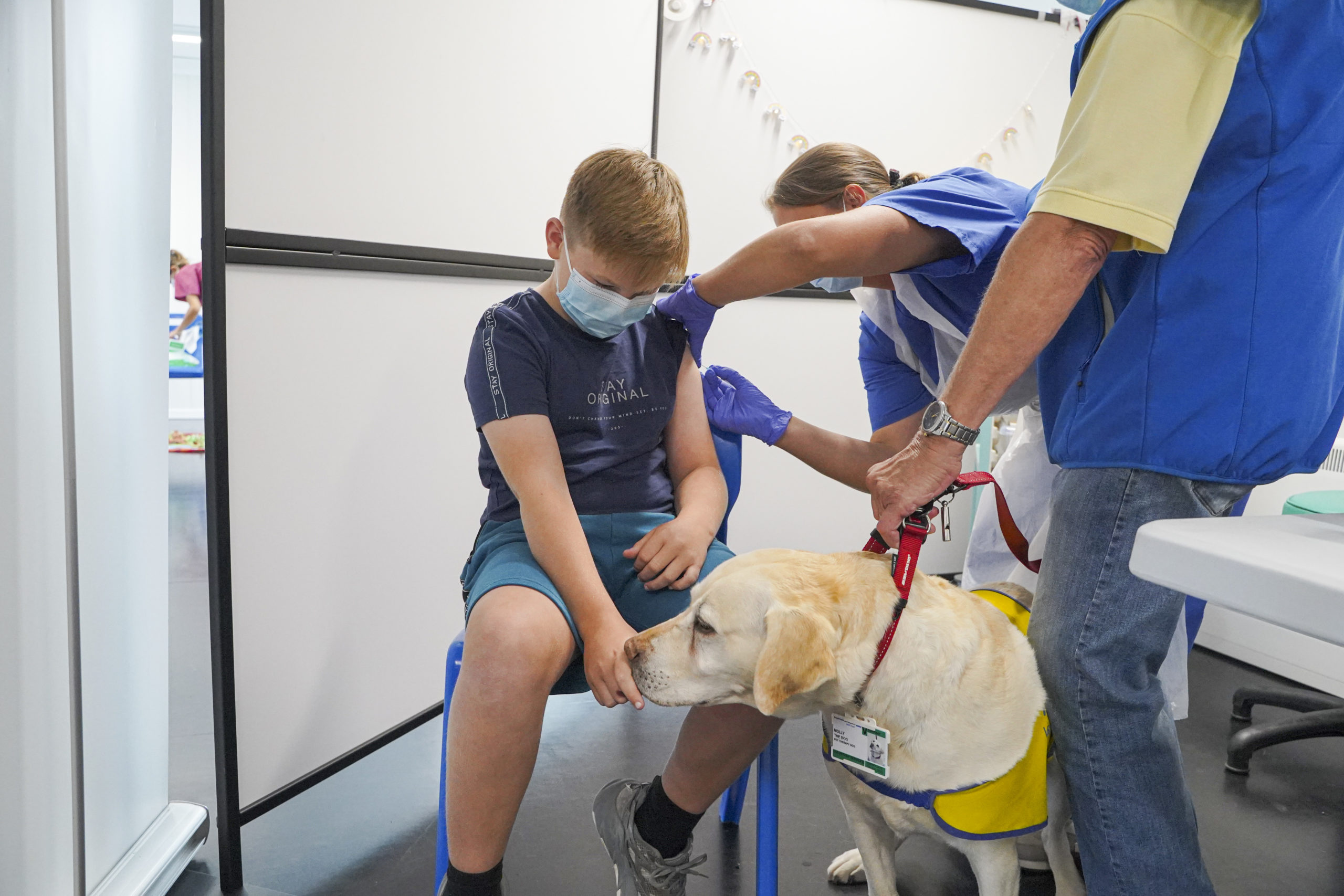 Molly, a seven-year-old labrador therapy dog is stroked by Jake Gregory of Cornwall while Jake receives his Covid vaccination at a temporary NHS Covid vaccination centre on August 20, 2022 in Wadebridge, England. On account of the constant attention they receive, therapy dogs work a maximum two-hour shift before they are rested for the day. Due to an increase in Covid cases, face masks have once again become compulsory in all NHS hospitals and treatment centres in Cornwall. (Photo by Hugh Hastings/Getty Images)