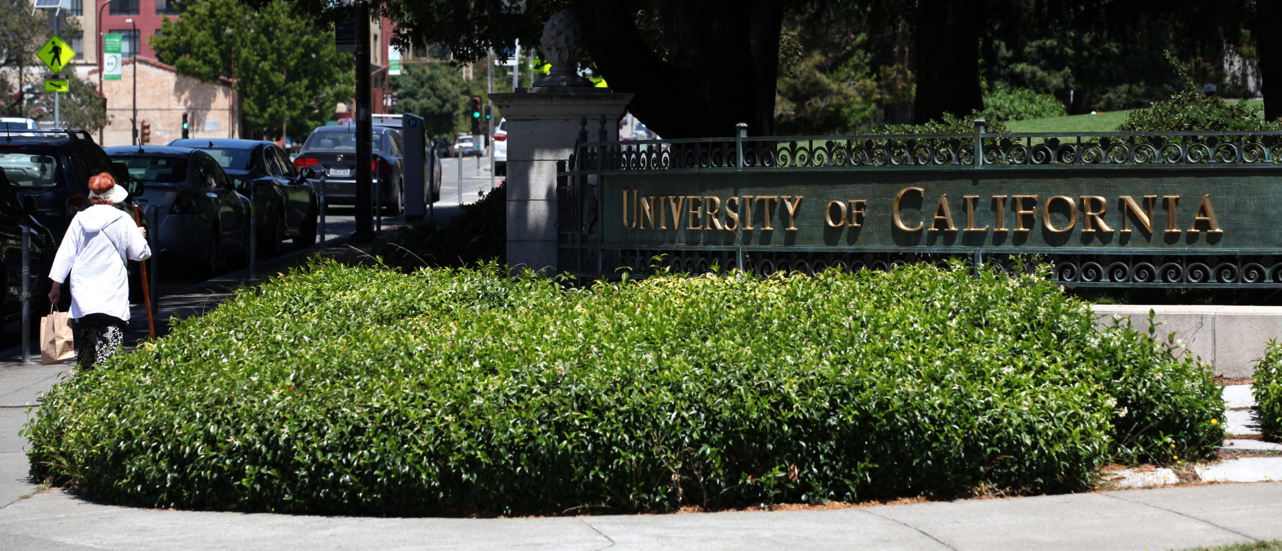 Nearly 50,000 California University Employees Strike, Demanding Higher Pay