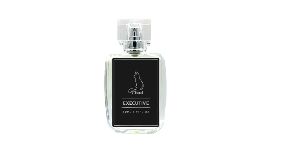 60 Of The Most ACCURATE CLONES Of Expensive Fragrances in 2023