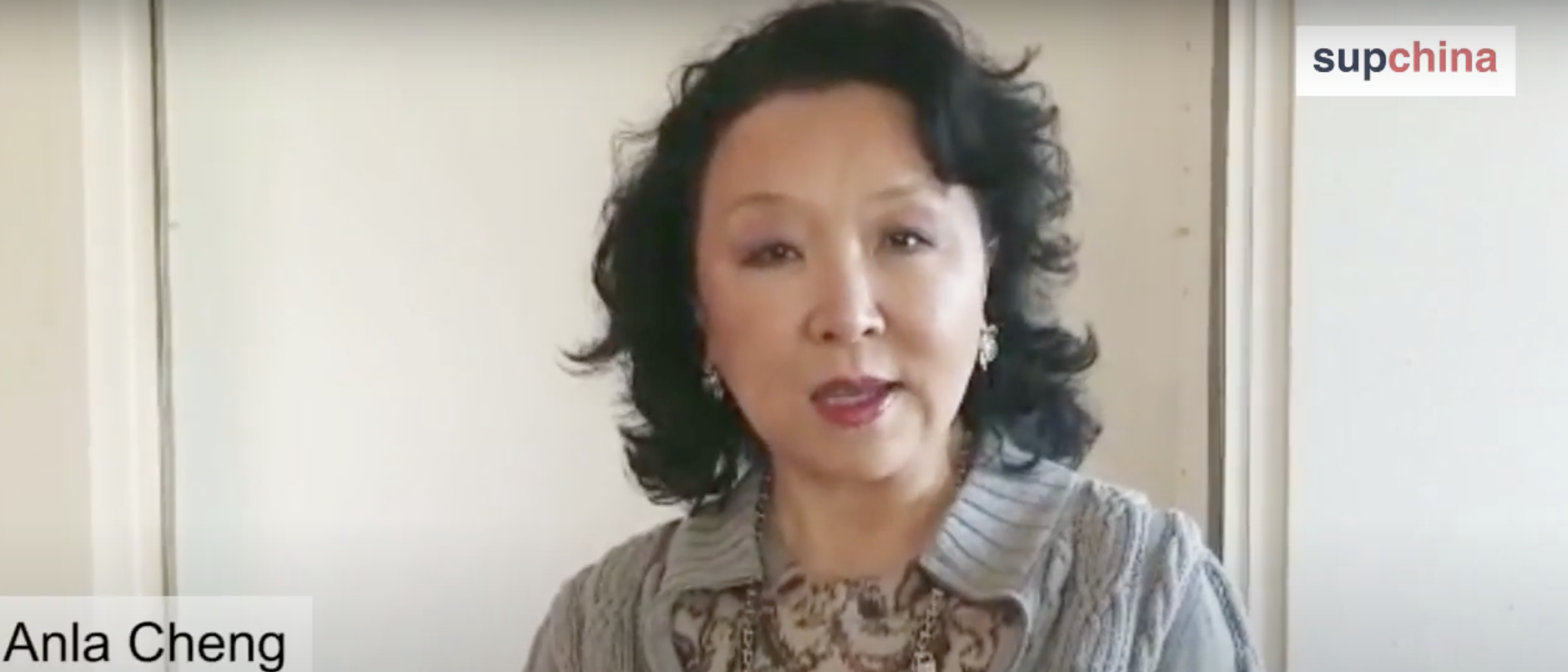 Anla Cheng is the founder of The China Project and is also a member of the Committee of 100. [ScreenShot/YouTube/TheChinaProject]