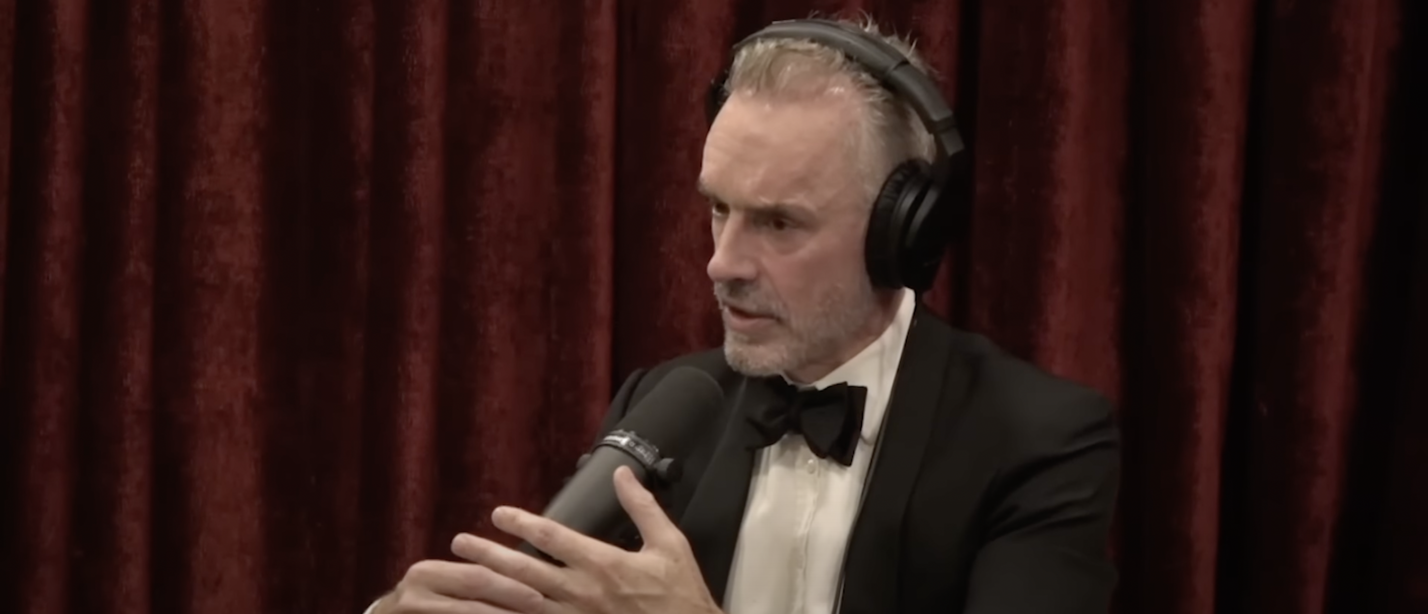 Jordan Peterson Ordered Into Six-Month ‘Re-education’ Program Over Social Media Comments, Rogan Podcast Appearance