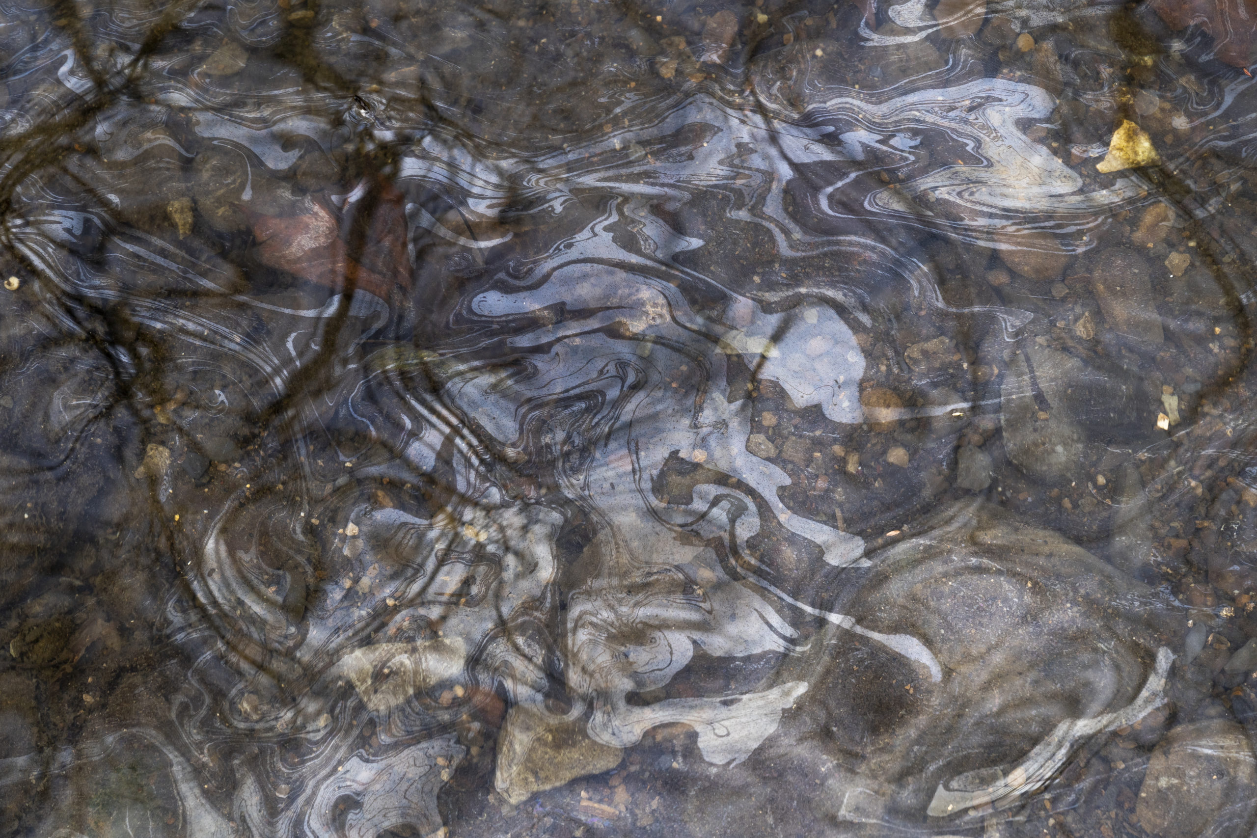 Petroleum based chemicals float on the top of the water in Leslie Run creek after being agitated from the sediment on the bottom of the creek on February 20, 2023 in East Palestine, Ohio following a train derailment prompting health concerns.