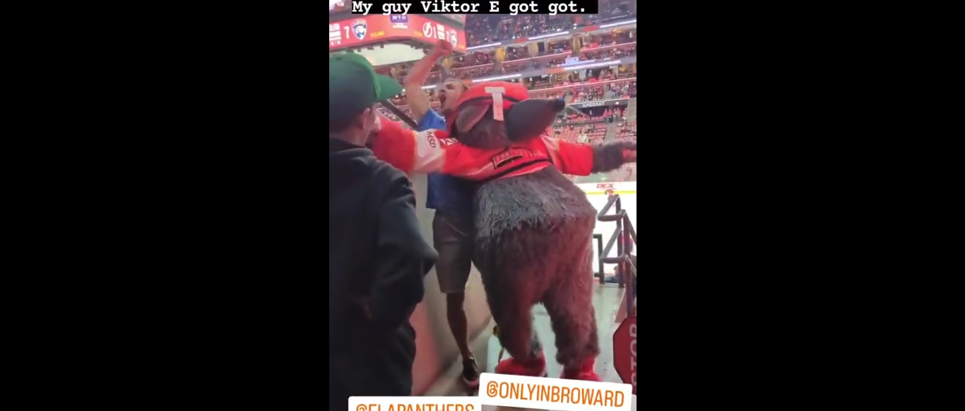 Florida Panthers Launch Investigation After Their Mascot Viktor E Ratt Gets Attacked By A Tampa 
