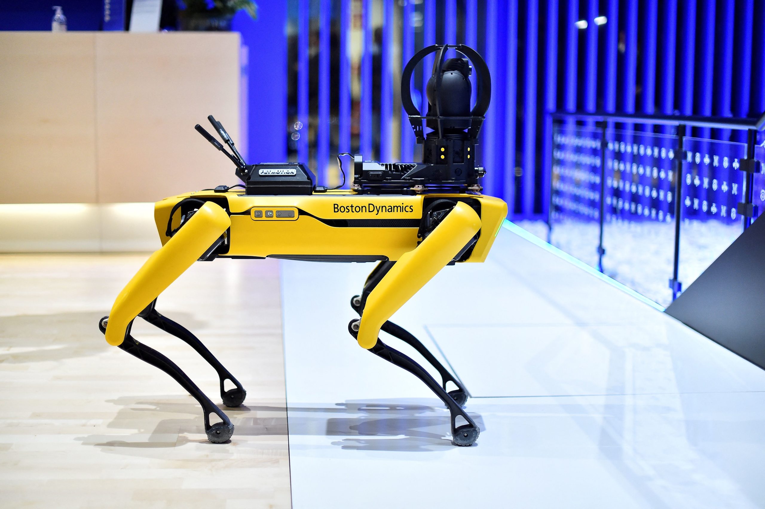 This photograph shows Boston Dynamics' SPOT robot dog on the opening day of the MWC (Mobile World Congress) in Barcelona on February 28, 2022. - The world's biggest mobile fair is held from February 28 to March 3, 2022. (Photo by PAU BARRENA/AFP via Getty Images)