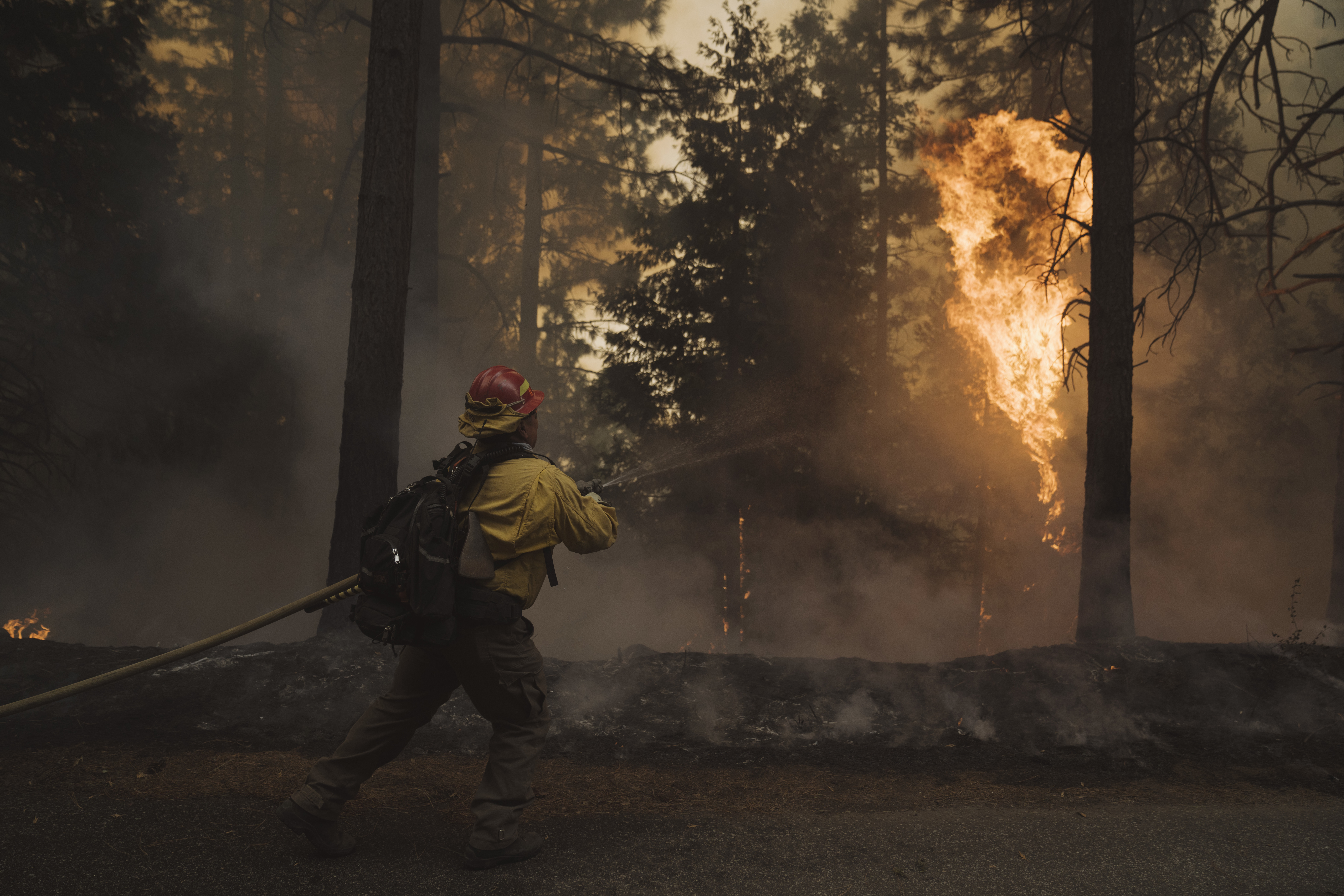 RAMSEY CROSSING, CA - SEPTEMBER 15: A firefighter battles flames from the Mosquito Fire on September 15, 2022 in Ramsey Crossing, California. The Mosquito Fire officially became the state's biggest fire of the year and is still only 20 percent contained. (Photo by Eric Thayer/Getty Images)
