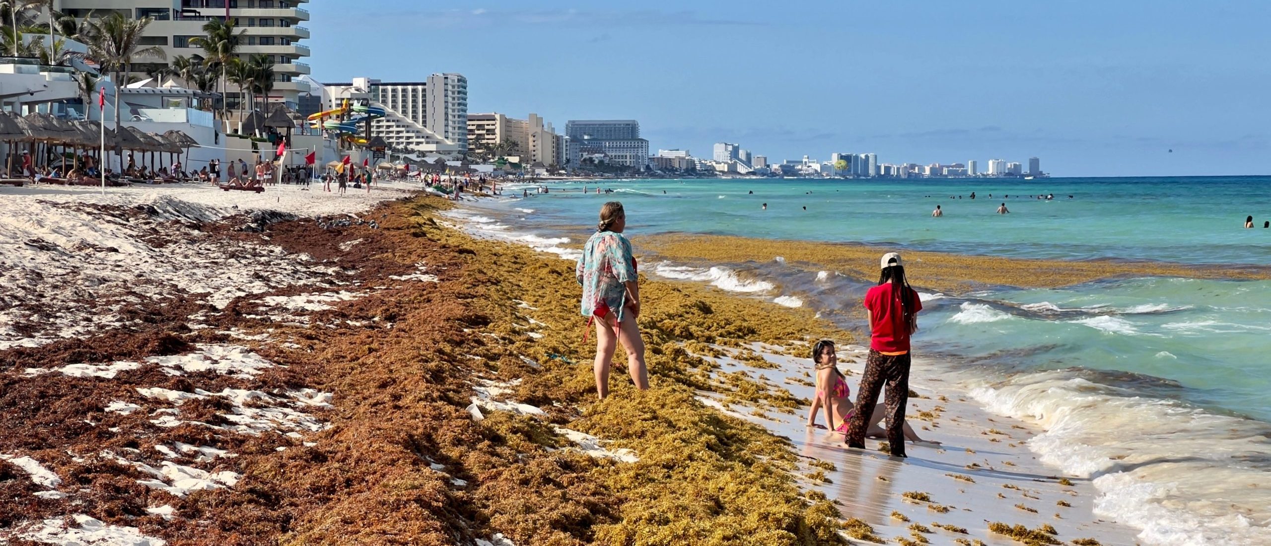 ‘Perfect Storm’ Of FleshEating Bacteria Hitting US Beach, Researchers