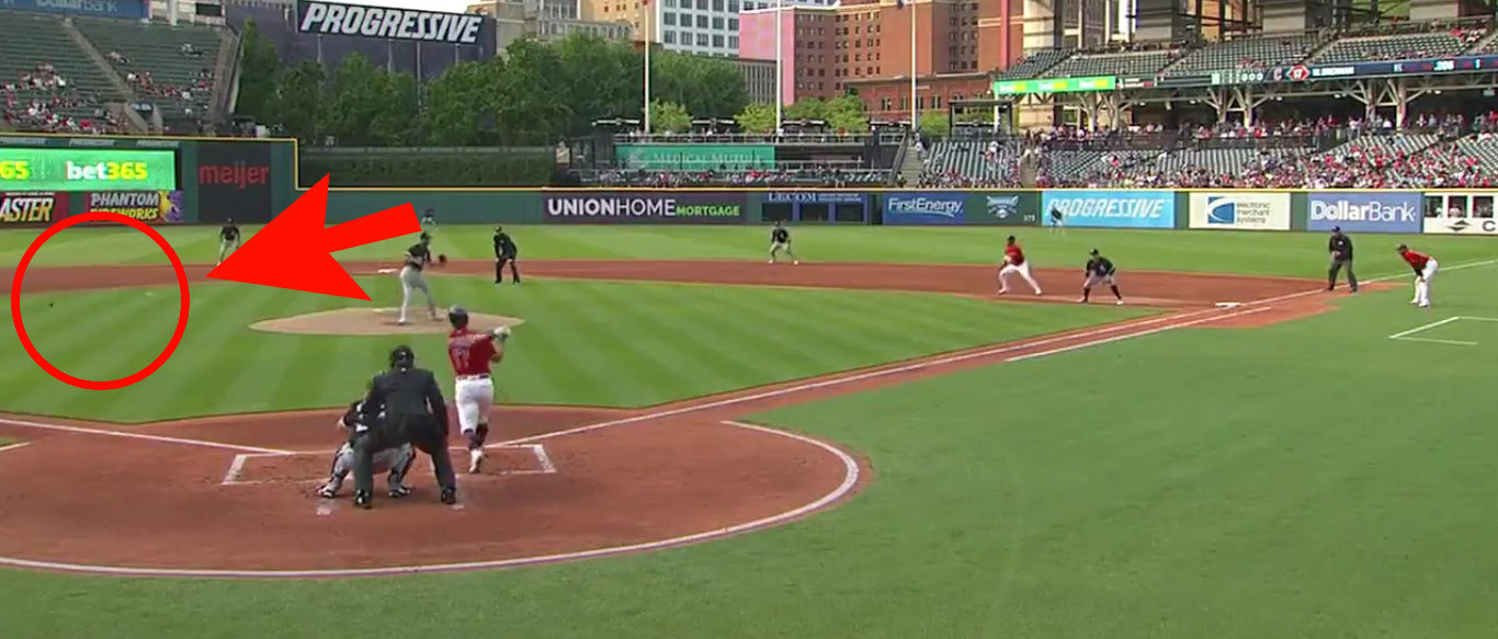 Cleveland rookie kills bird with 100 mph line drive in