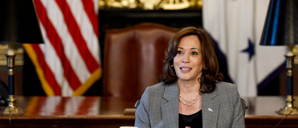 Fact Check Kamala Harris Claims Some Polls Say She Has ‘great Approval Ratings Check Your Fact 8426