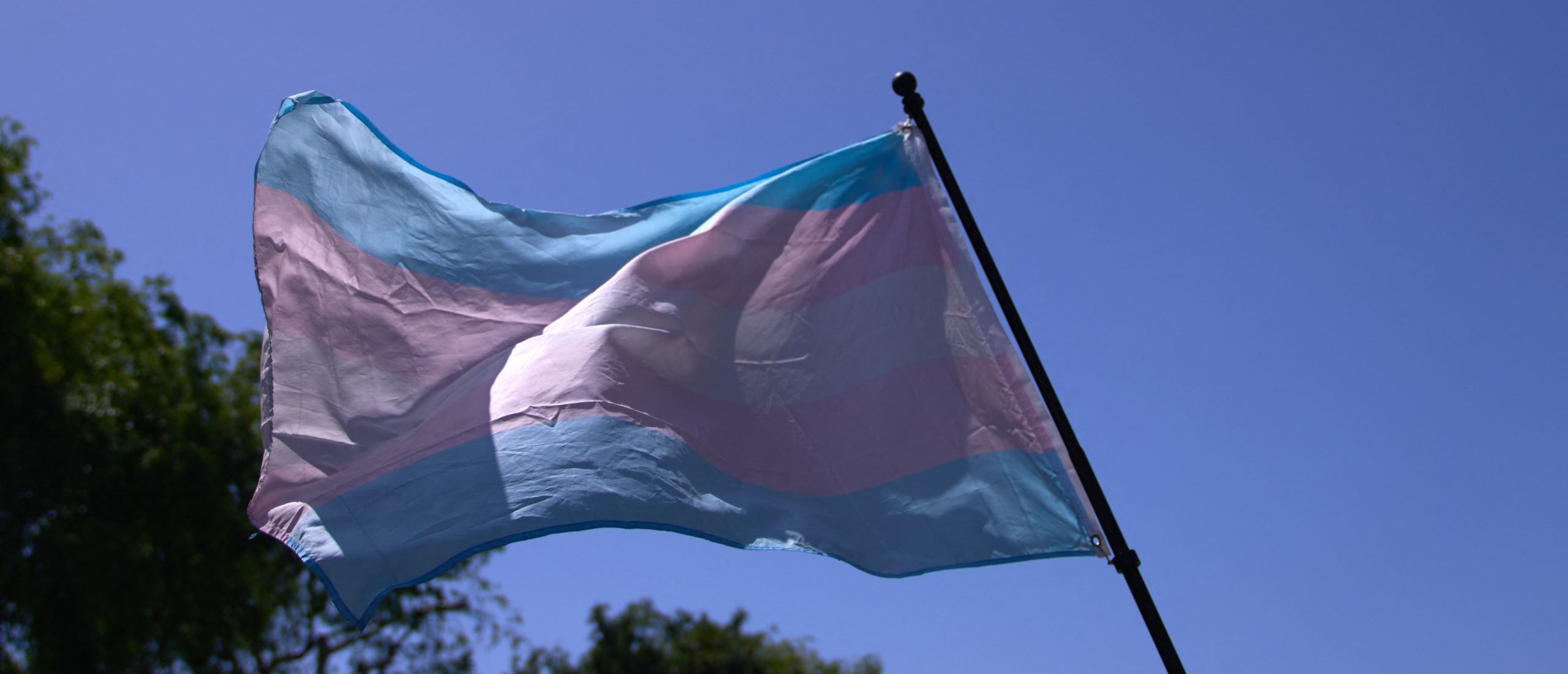 A Transgender Pride Flag is held above the crowd of LGBTQ+ activists (Photo by ALLISON DINNER/Getty Images)
