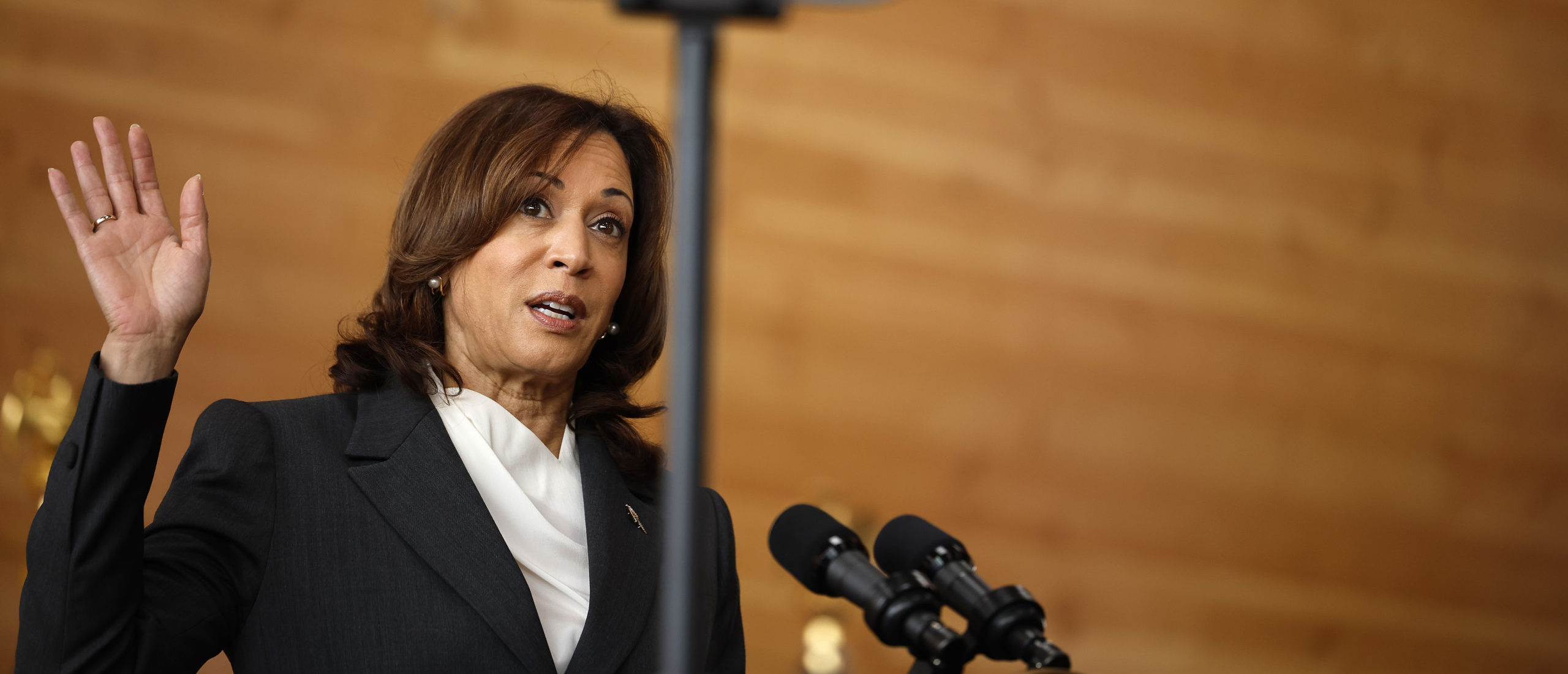 Former Kamala Aides Revolt Against Her For Being Too Pro-Israel