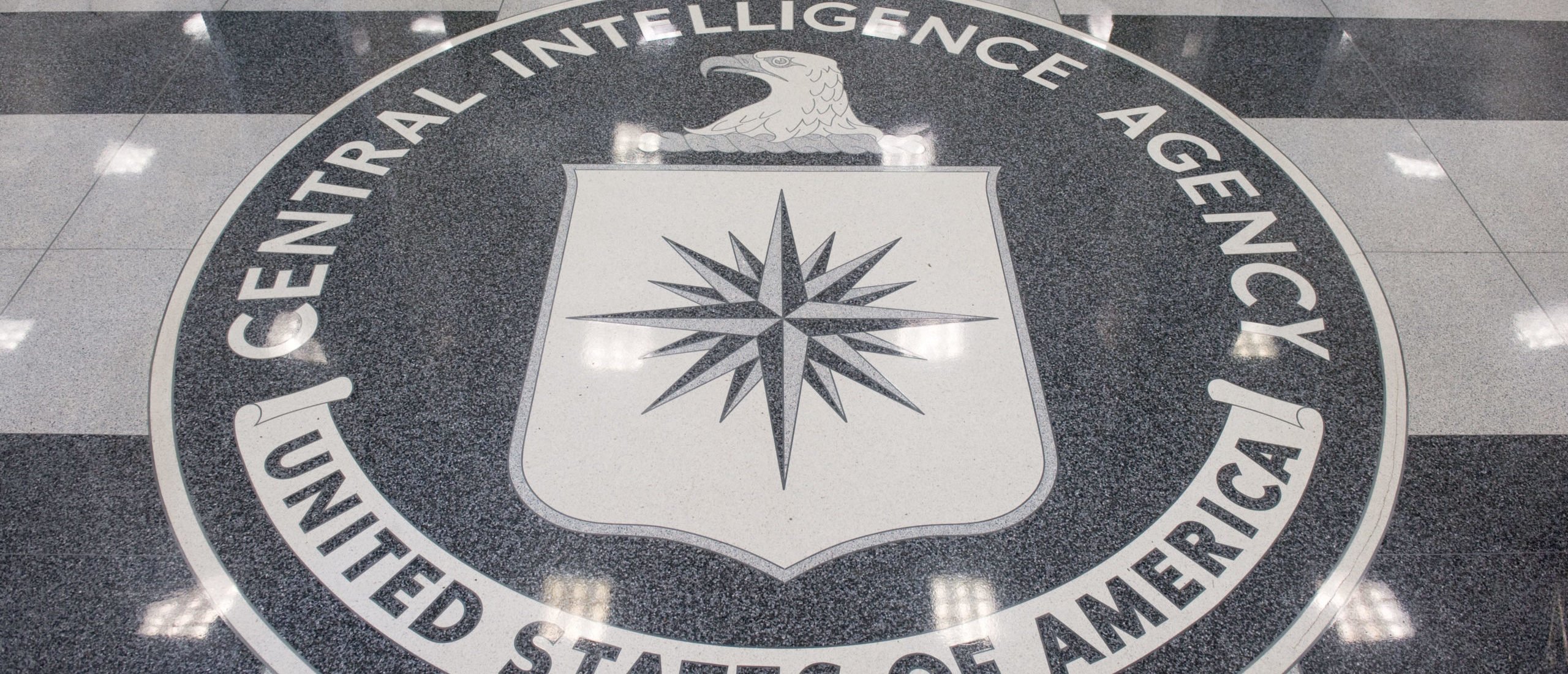 EXCLUSIVE: Meet The Senior CIA Official Caught Posting Pro-Palestinian Content On Social Media