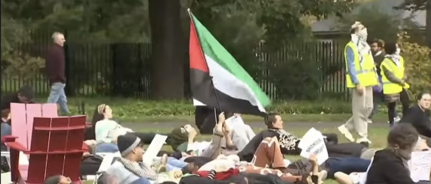 Pro-Palestinian protest on college campus [Screenshot/YouTube/NBC News]