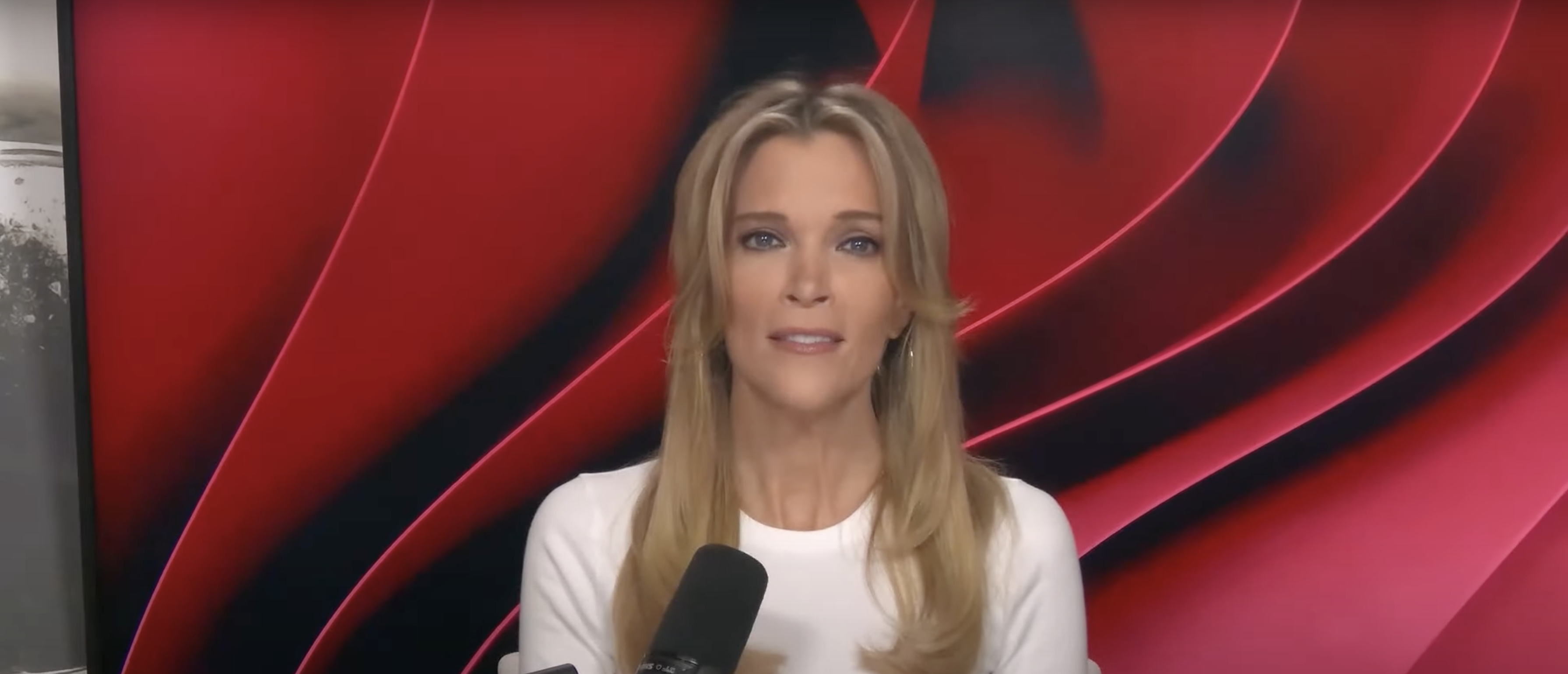 ‘You Don’t Like America? Get Out!’: Megyn Kelly Rails Against Pro-Palestine Activists