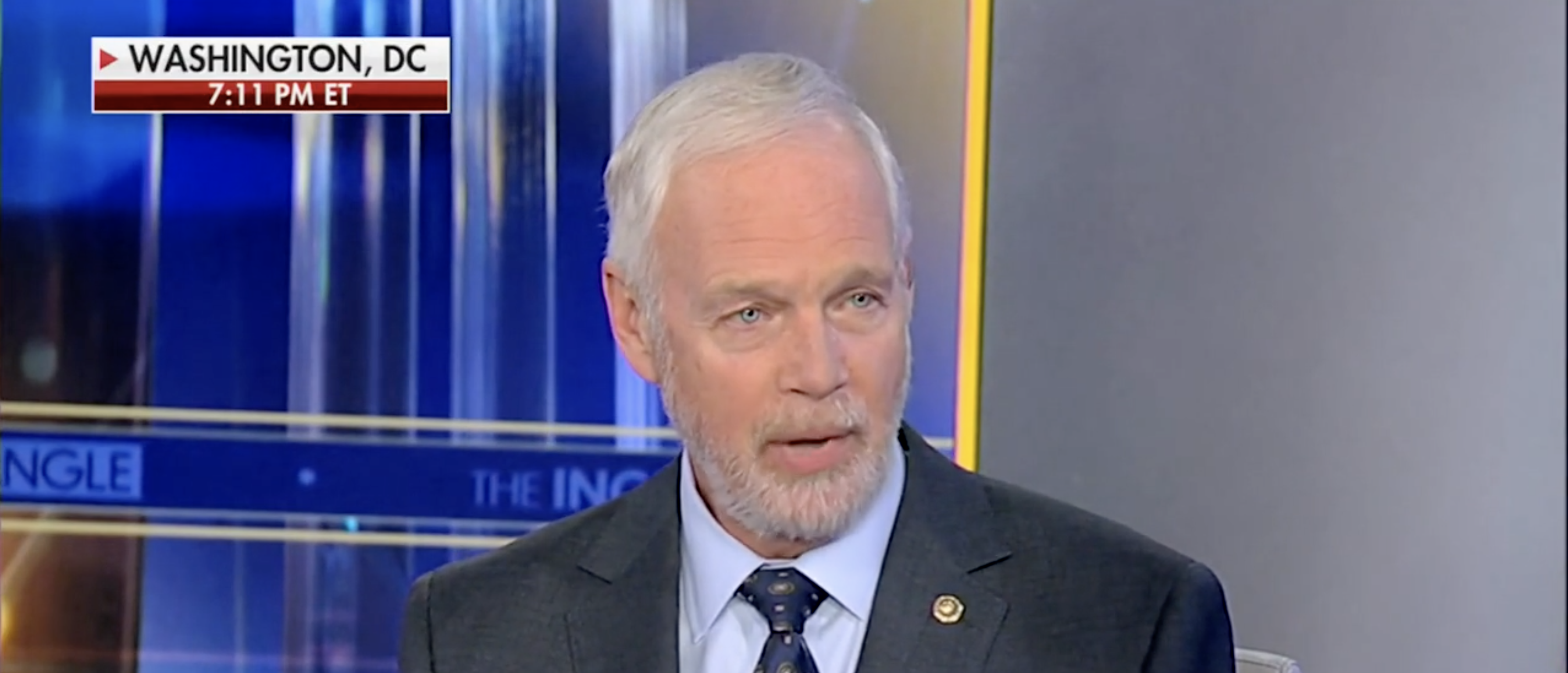 ‘Could Not Ask For A Better Game Plan’: Ron Johnson Suggests Democrats Are Destroying America On Purpose