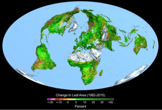 This image shows the change in leaf area across the globe from 1982-2015. Credit: Boston University/R. Myneni