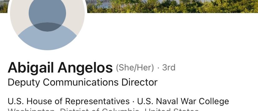 Screenshot of Angelos' LinkedIn bio [Screenshot/LinkedIn]