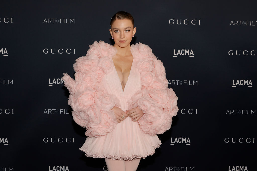 LOS ANGELES, CALIFORNIA - NOVEMBER 05: Sydney Sweeney attends the 11th Annual LACMA Art + Film Gala at Los Angeles County Museum of Art on November 05, 2022 in Los Angeles, California. (Photo by Kevin Winter/Getty Images)