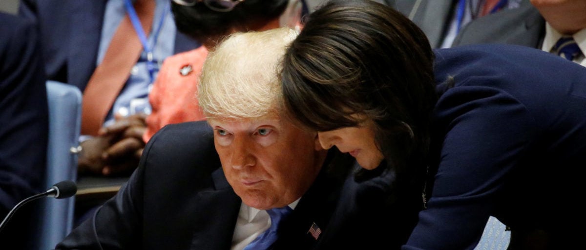 Donald Trump Denies Nikki Haley Being Considered For Vice President